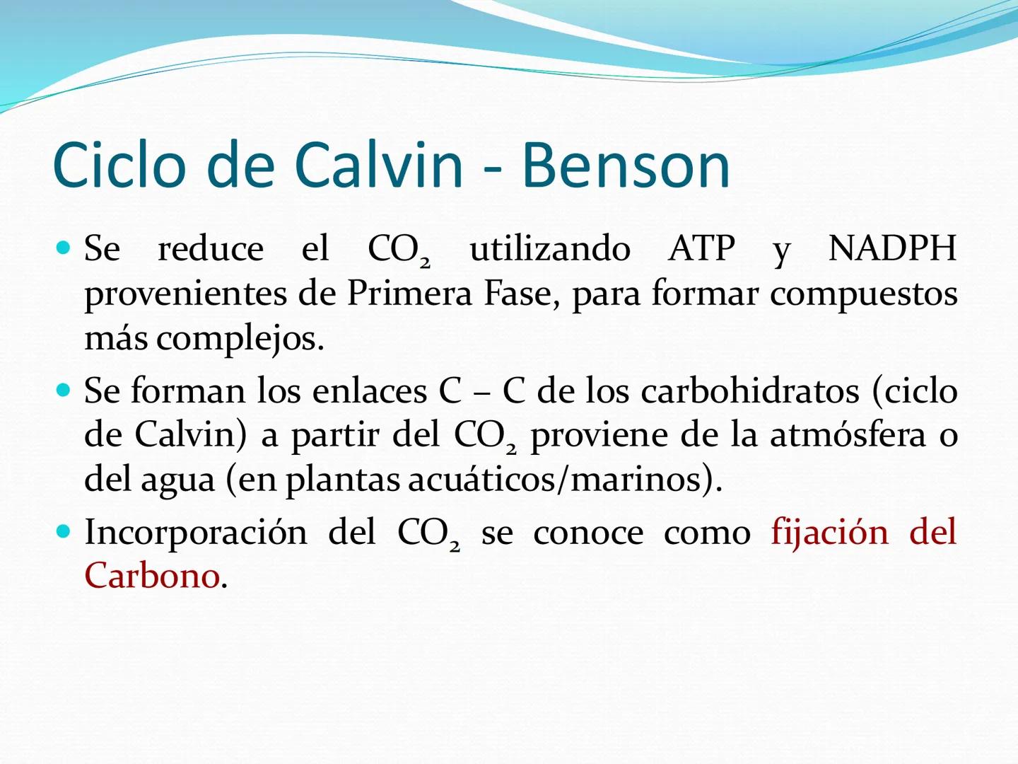 UNIA
UNIVERSIDAD N
JRAL DE LA AMAZONIA
NACIONAL INTERCULTU
FOTOSINTESIS
Energía
del sol
Oxígeno
O2
Dióxido de carbono
CO2
Minerales
Azúcar
6