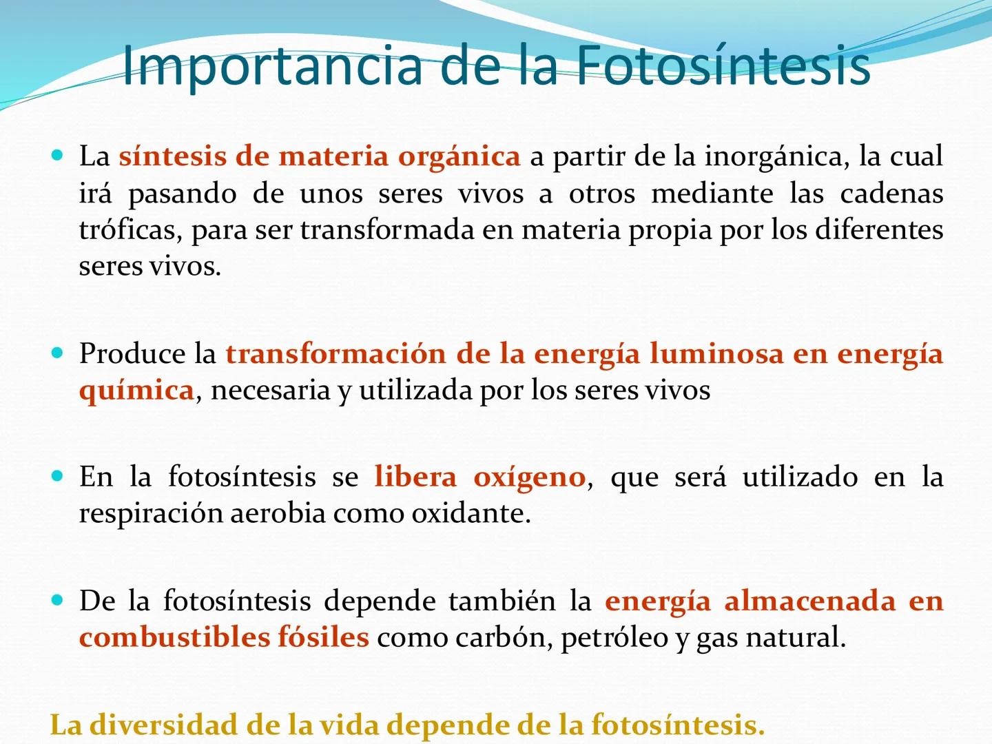 UNIA
UNIVERSIDAD N
JRAL DE LA AMAZONIA
NACIONAL INTERCULTU
FOTOSINTESIS
Energía
del sol
Oxígeno
O2
Dióxido de carbono
CO2
Minerales
Azúcar
6