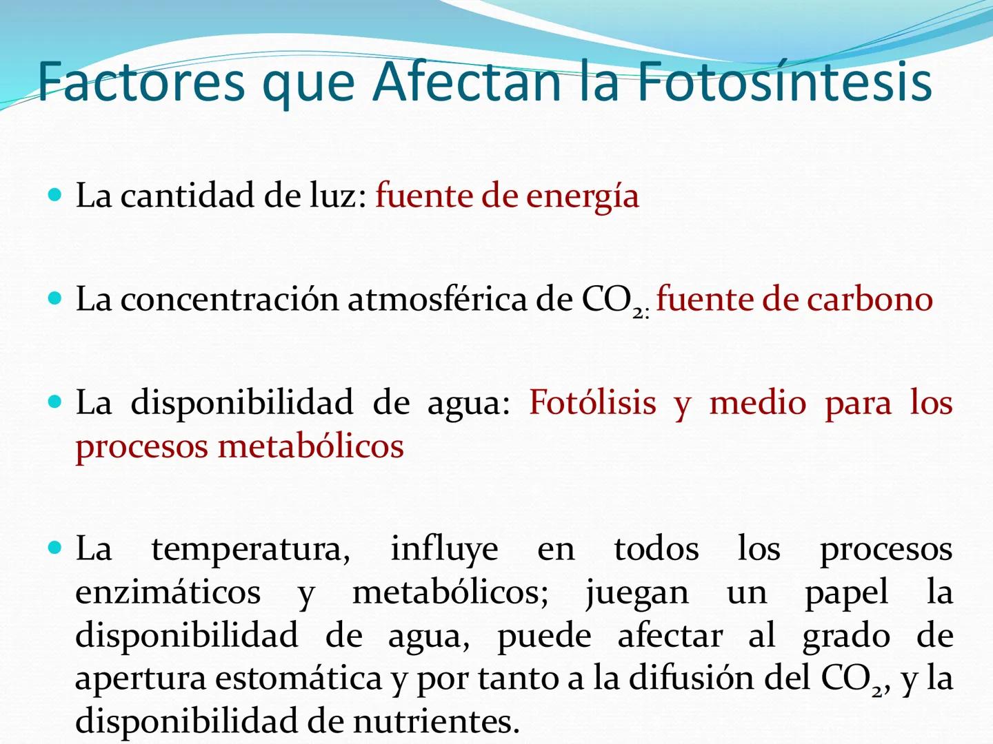 UNIA
UNIVERSIDAD N
JRAL DE LA AMAZONIA
NACIONAL INTERCULTU
FOTOSINTESIS
Energía
del sol
Oxígeno
O2
Dióxido de carbono
CO2
Minerales
Azúcar
6