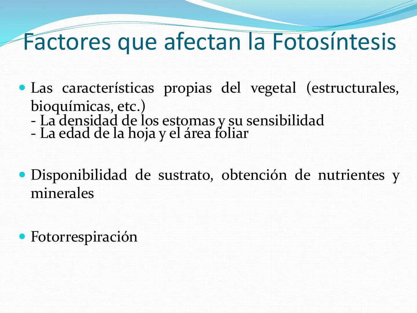 UNIA
UNIVERSIDAD N
JRAL DE LA AMAZONIA
NACIONAL INTERCULTU
FOTOSINTESIS
Energía
del sol
Oxígeno
O2
Dióxido de carbono
CO2
Minerales
Azúcar
6