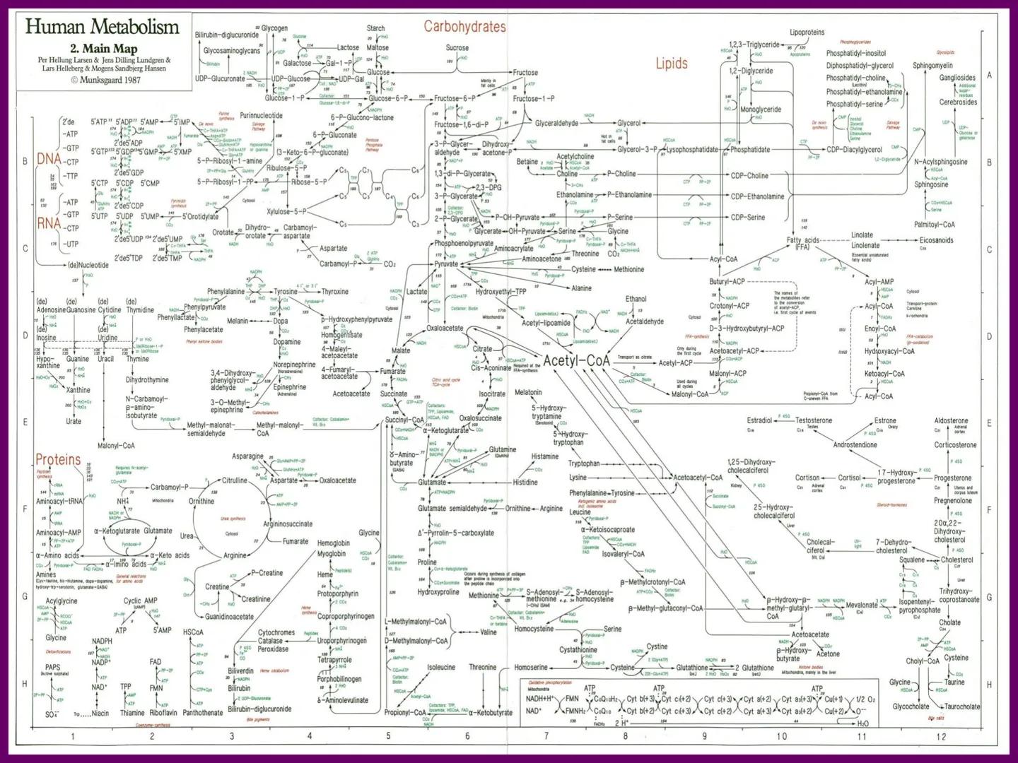 UNIA
UNIVERSIDAD N
JRAL DE LA AMAZONIA
NACIONAL INTERCULTU
FOTOSINTESIS
Energía
del sol
Oxígeno
O2
Dióxido de carbono
CO2
Minerales
Azúcar
6