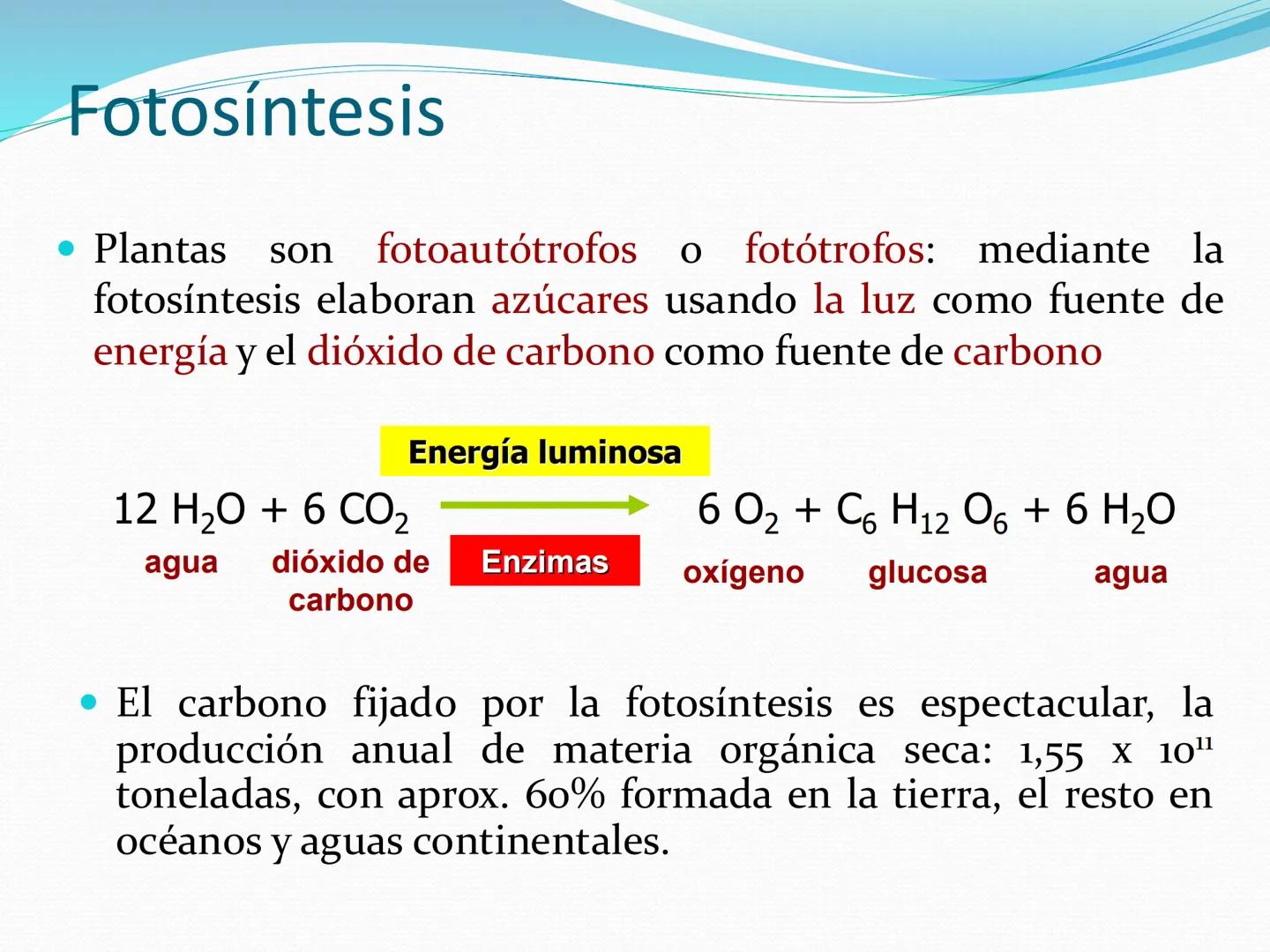 UNIA
UNIVERSIDAD N
JRAL DE LA AMAZONIA
NACIONAL INTERCULTU
FOTOSINTESIS
Energía
del sol
Oxígeno
O2
Dióxido de carbono
CO2
Minerales
Azúcar
6