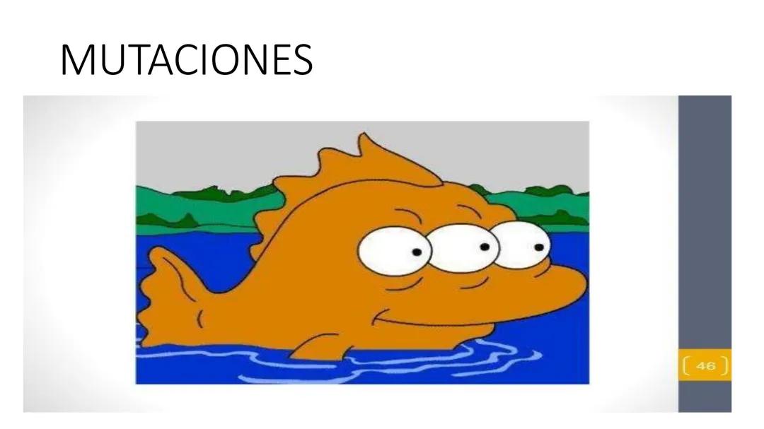 Mutaciones