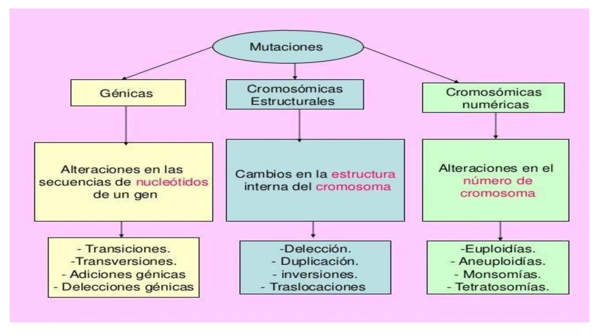# MUTACIONES
(46) # MUTACIÓN:
✓ Cambio en el material genético(ADN) que puede transmitirse a la descendencia.
✓ Los cambios en el materia