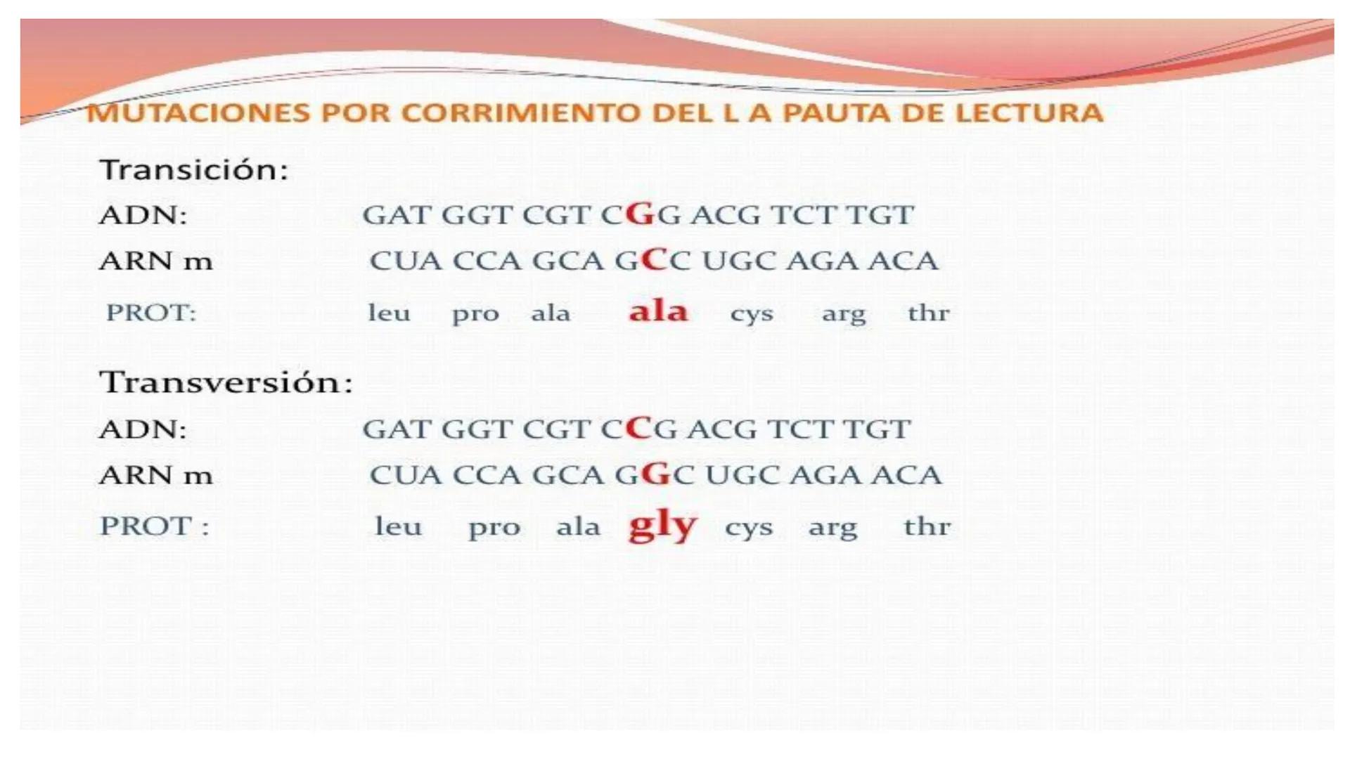 # MUTACIONES
(46) # MUTACIÓN:
✓ Cambio en el material genético(ADN) que puede transmitirse a la descendencia.
✓ Los cambios en el materia