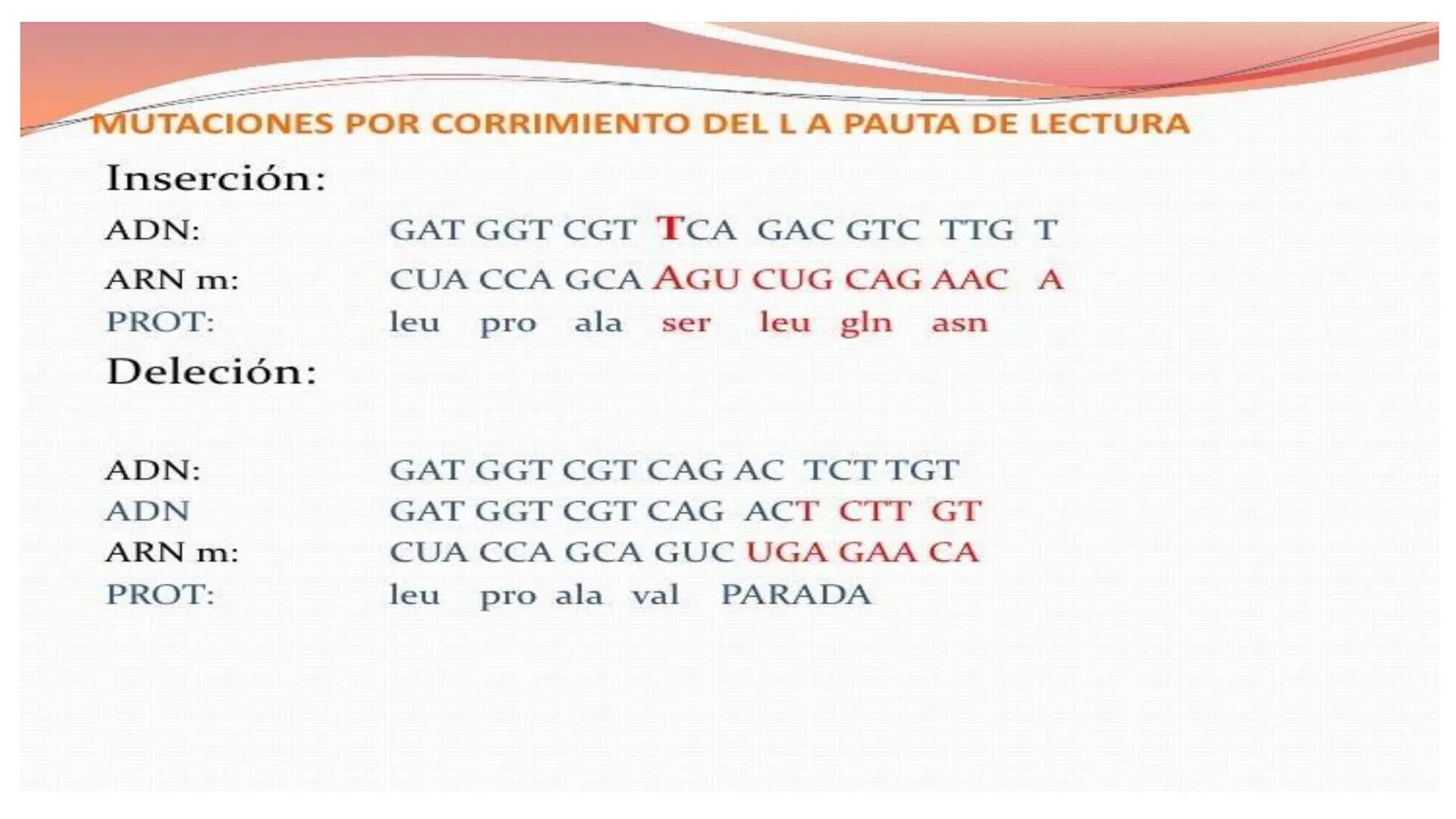 # MUTACIONES
(46) # MUTACIÓN:
✓ Cambio en el material genético(ADN) que puede transmitirse a la descendencia.
✓ Los cambios en el materia