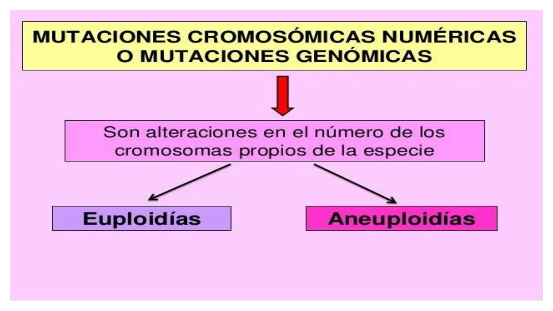 # MUTACIONES
(46) # MUTACIÓN:
✓ Cambio en el material genético(ADN) que puede transmitirse a la descendencia.
✓ Los cambios en el materia