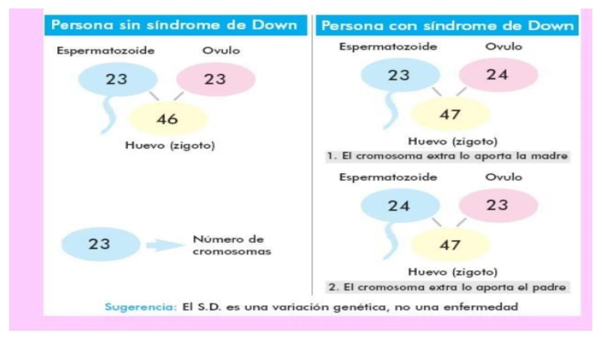 # MUTACIONES
(46) # MUTACIÓN:
✓ Cambio en el material genético(ADN) que puede transmitirse a la descendencia.
✓ Los cambios en el materia