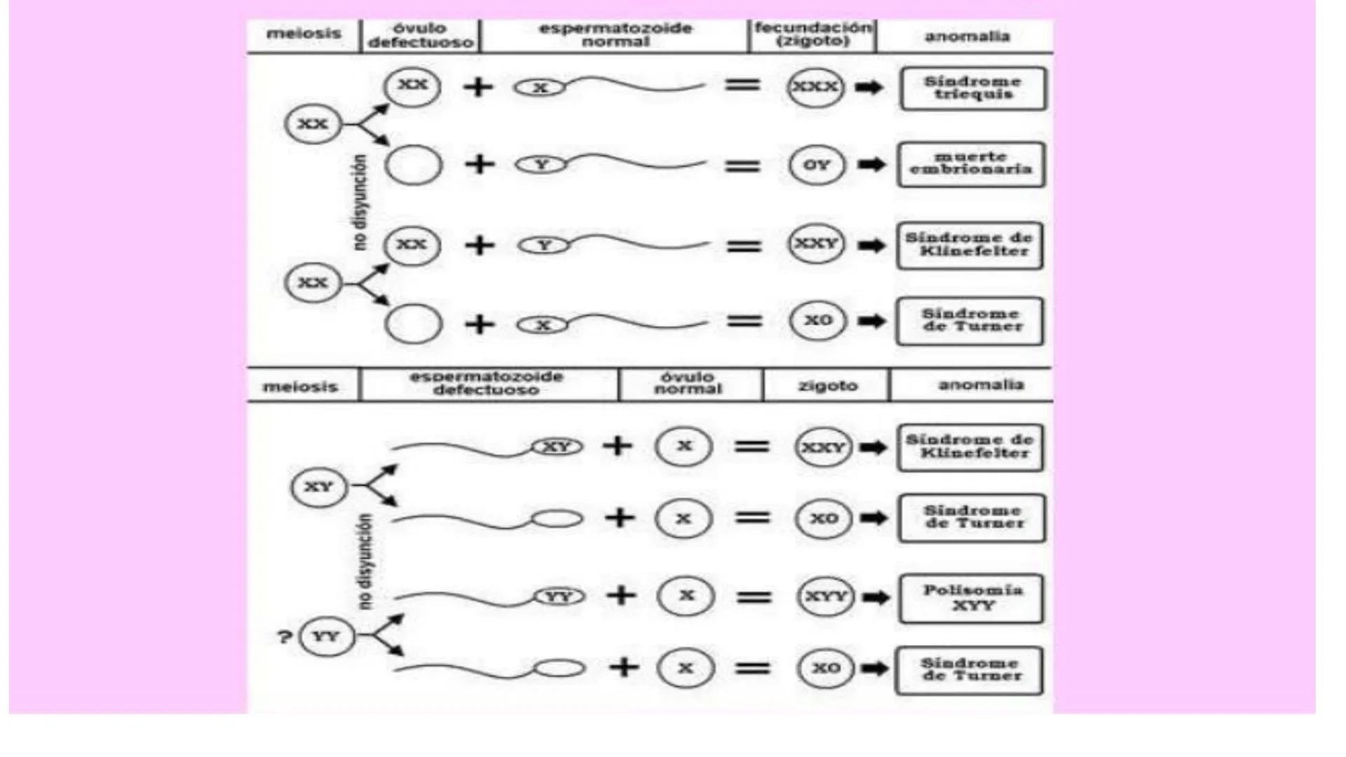 # MUTACIONES
(46) # MUTACIÓN:
✓ Cambio en el material genético(ADN) que puede transmitirse a la descendencia.
✓ Los cambios en el materia