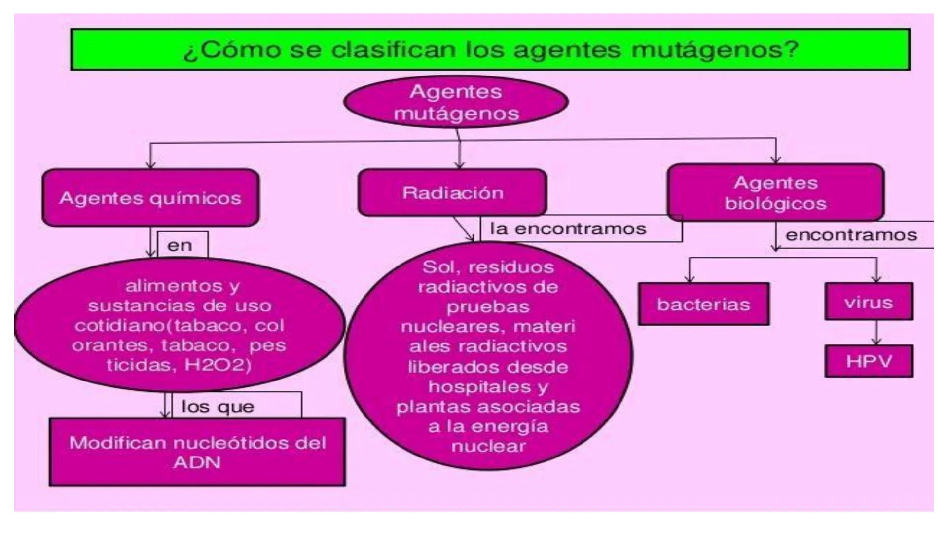 # MUTACIONES
(46) # MUTACIÓN:
✓ Cambio en el material genético(ADN) que puede transmitirse a la descendencia.
✓ Los cambios en el materia