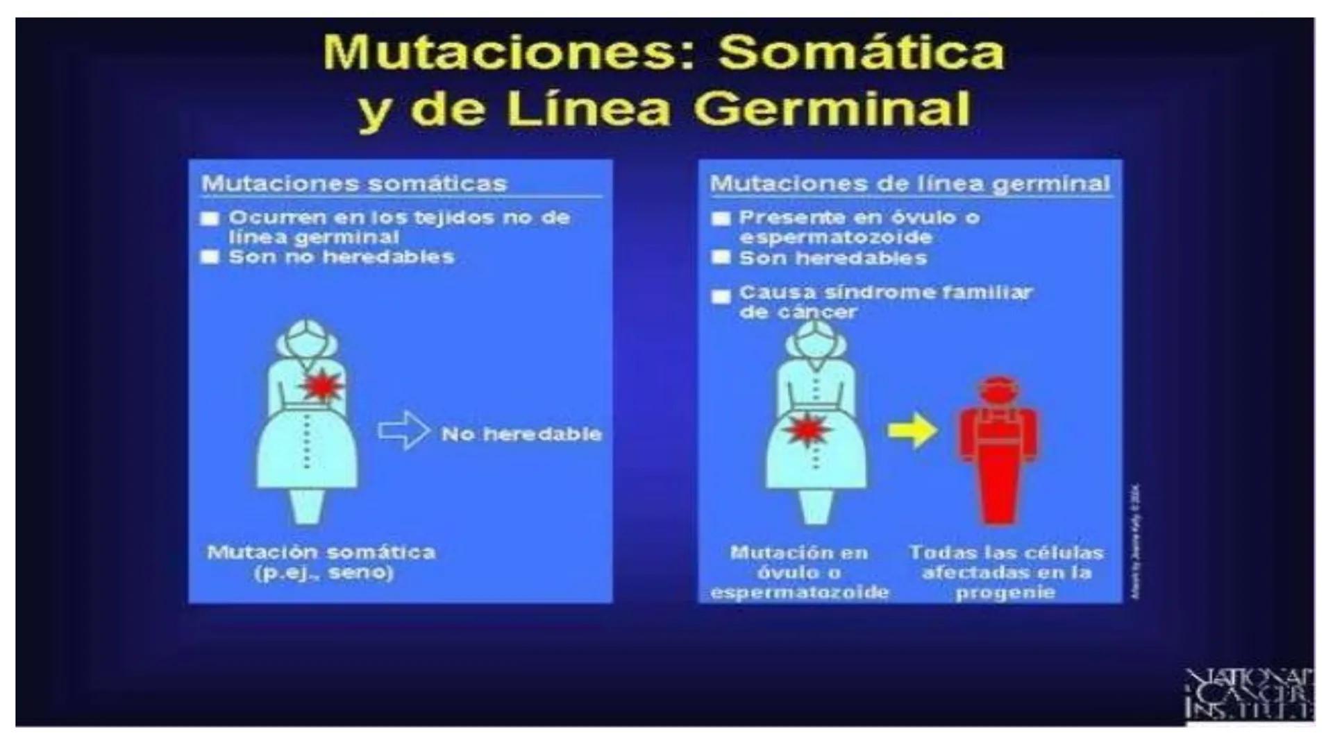 # MUTACIONES
(46) # MUTACIÓN:
✓ Cambio en el material genético(ADN) que puede transmitirse a la descendencia.
✓ Los cambios en el materia