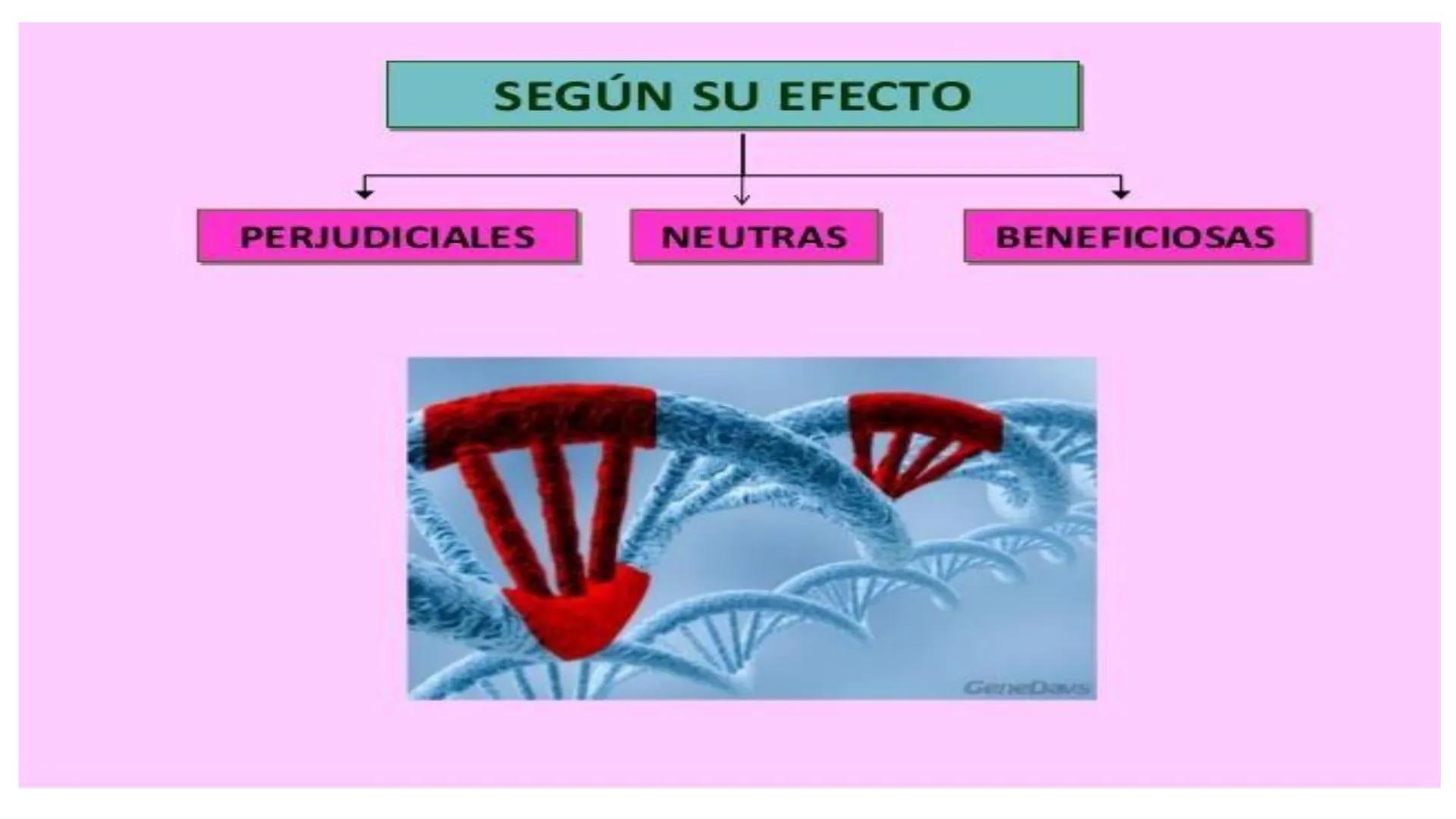 # MUTACIONES
(46) # MUTACIÓN:
✓ Cambio en el material genético(ADN) que puede transmitirse a la descendencia.
✓ Los cambios en el materia
