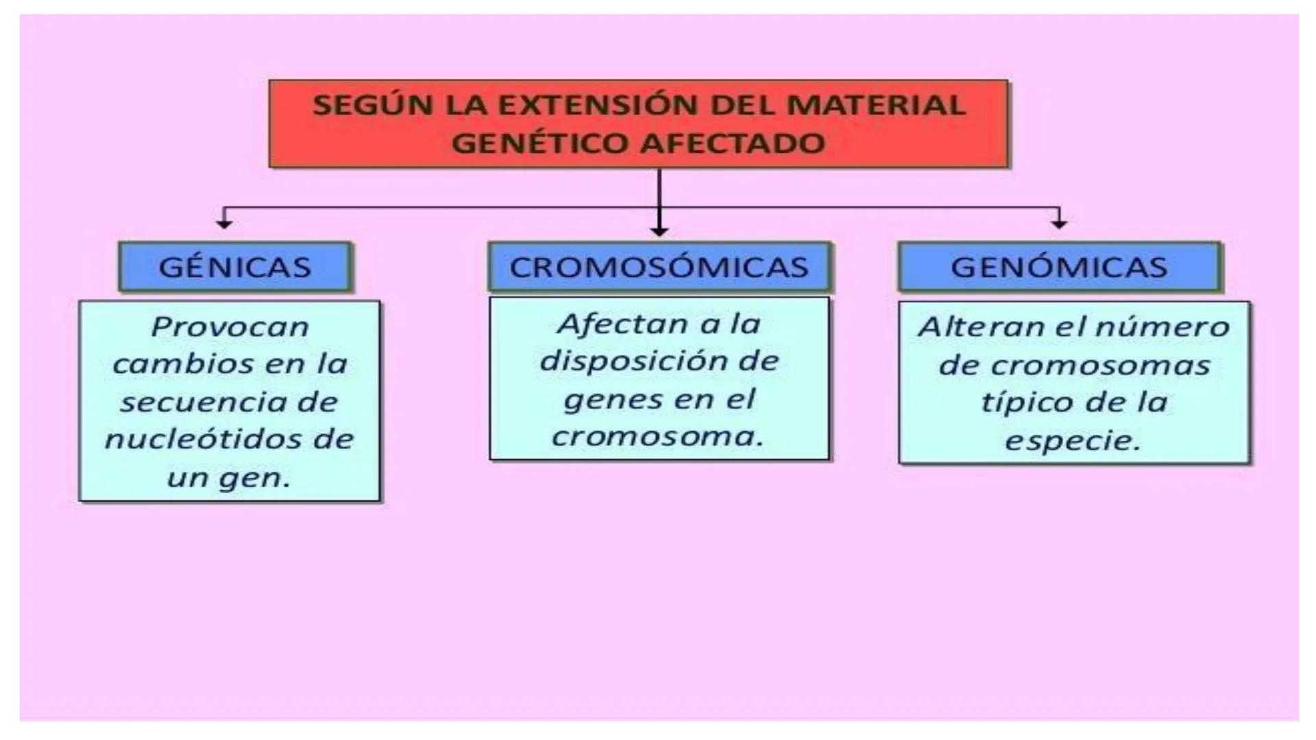 # MUTACIONES
(46) # MUTACIÓN:
✓ Cambio en el material genético(ADN) que puede transmitirse a la descendencia.
✓ Los cambios en el materia