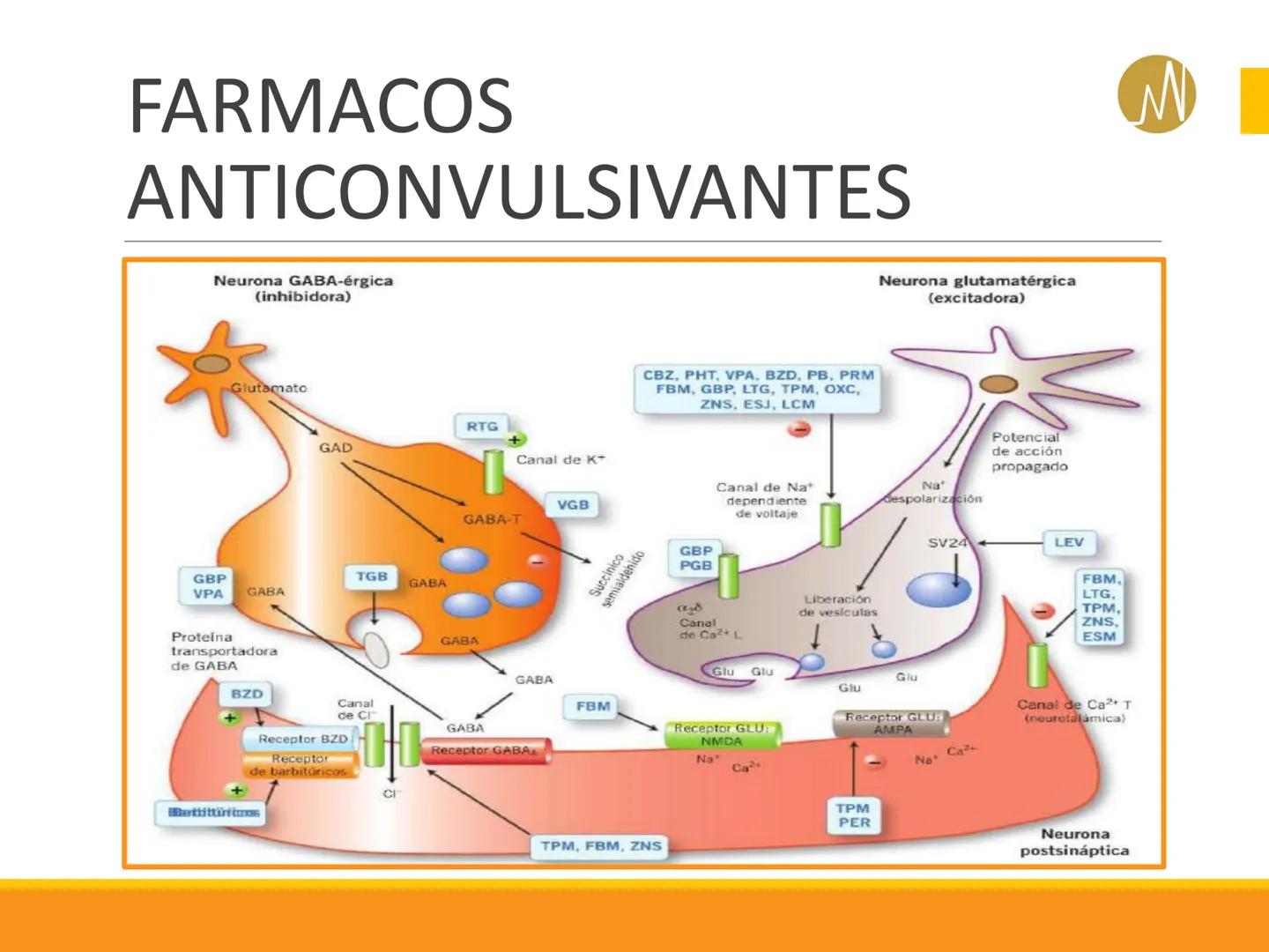 OPIACEOS,
ANTIPARKINSONIANOS
ANTICONVULSIVANTES
DOCENTE
Mg. Q.F. Santiago Yván
Gutiérrez Muñoz
Pablo Casals
INSTITUTO ELEMENTO DE CAPACIDA