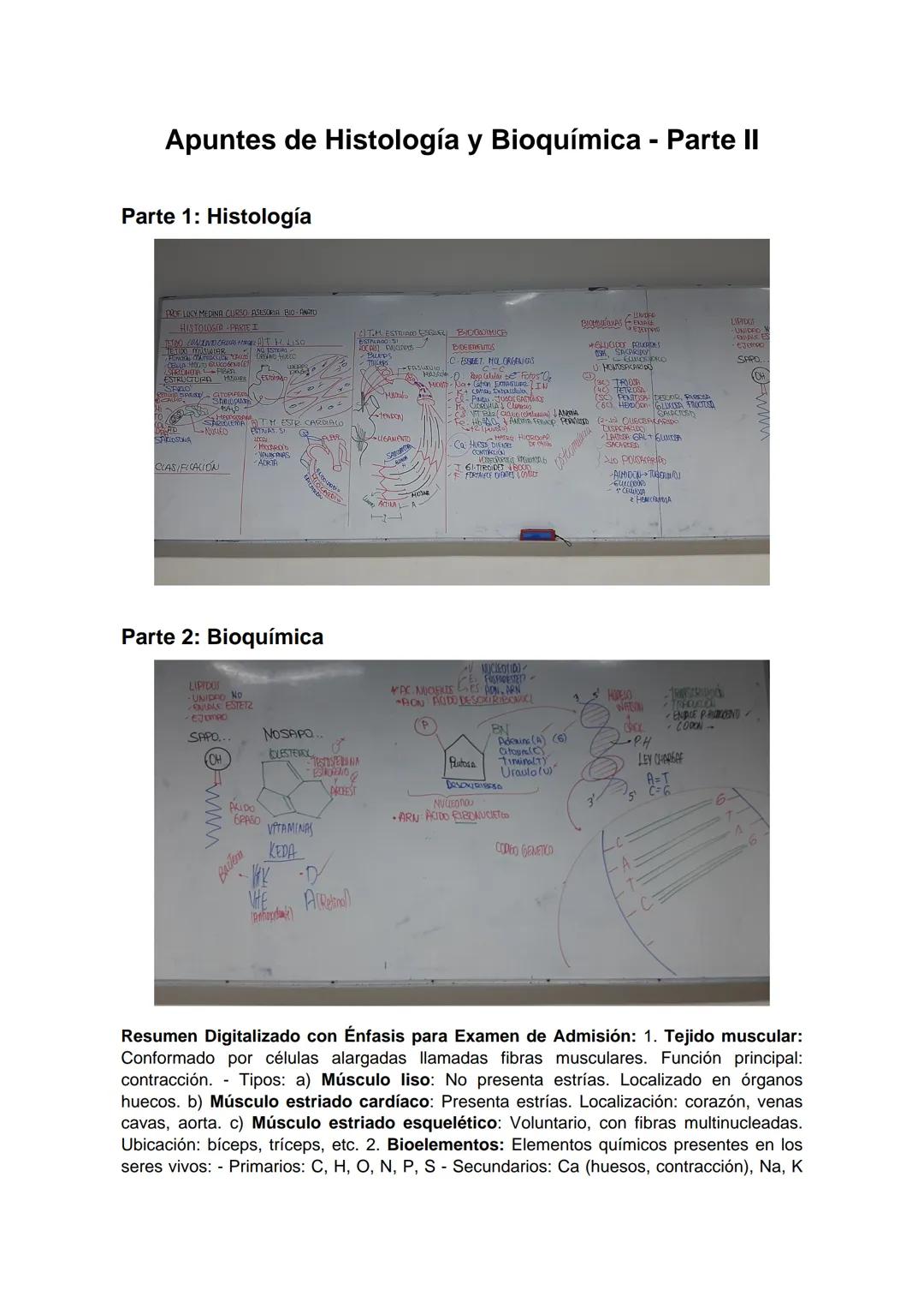 # Apuntes de Histología y Bioquímica - Parte II
## Parte 1: Histología
## Parte 2: Bioquímica
Resumen Digitalizado con Énfasis para Exame