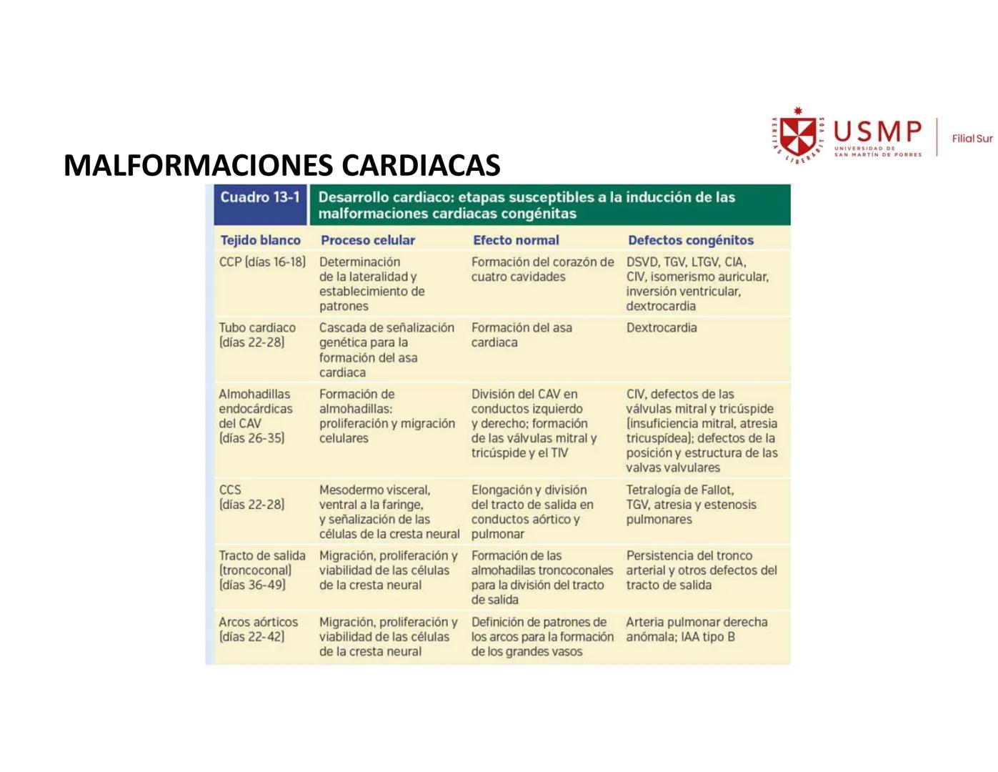 VERITAS
\/BERABITVOS
USMP
UNIVERSIDAD DE SAN MARTIN DE PORRES
FILIAL SUR
PERIODO 2025-1 # SISTEMAS CARDIACO Y RESPIRATORIO
Docente: Mg. Bio