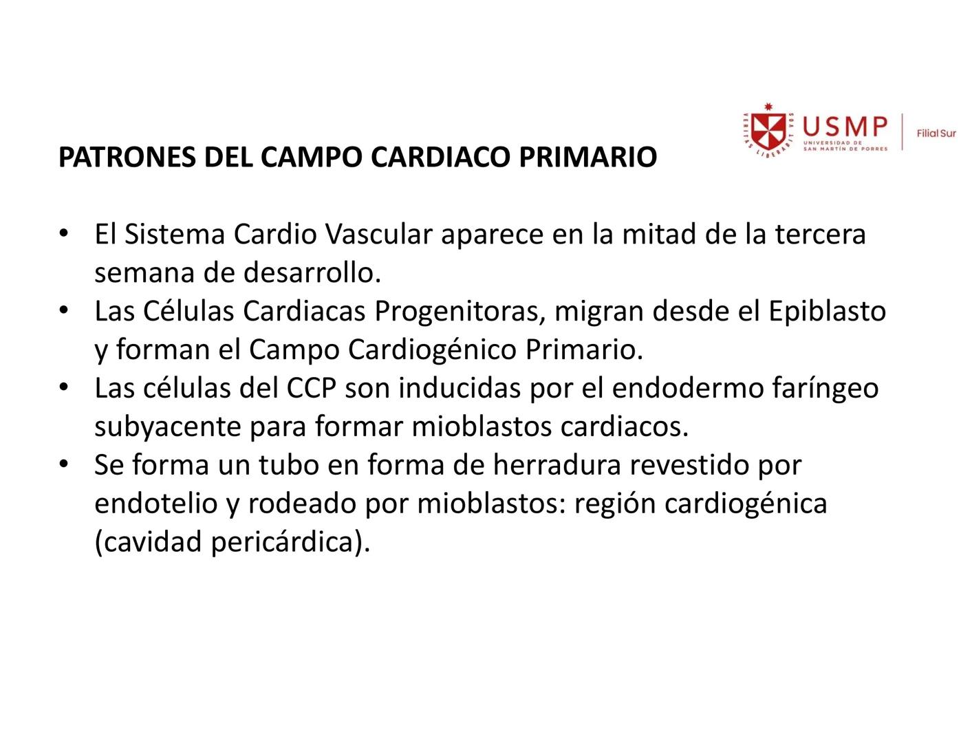 VERITAS
\/BERABITVOS
USMP
UNIVERSIDAD DE SAN MARTIN DE PORRES
FILIAL SUR
PERIODO 2025-1 # SISTEMAS CARDIACO Y RESPIRATORIO
Docente: Mg. Bio