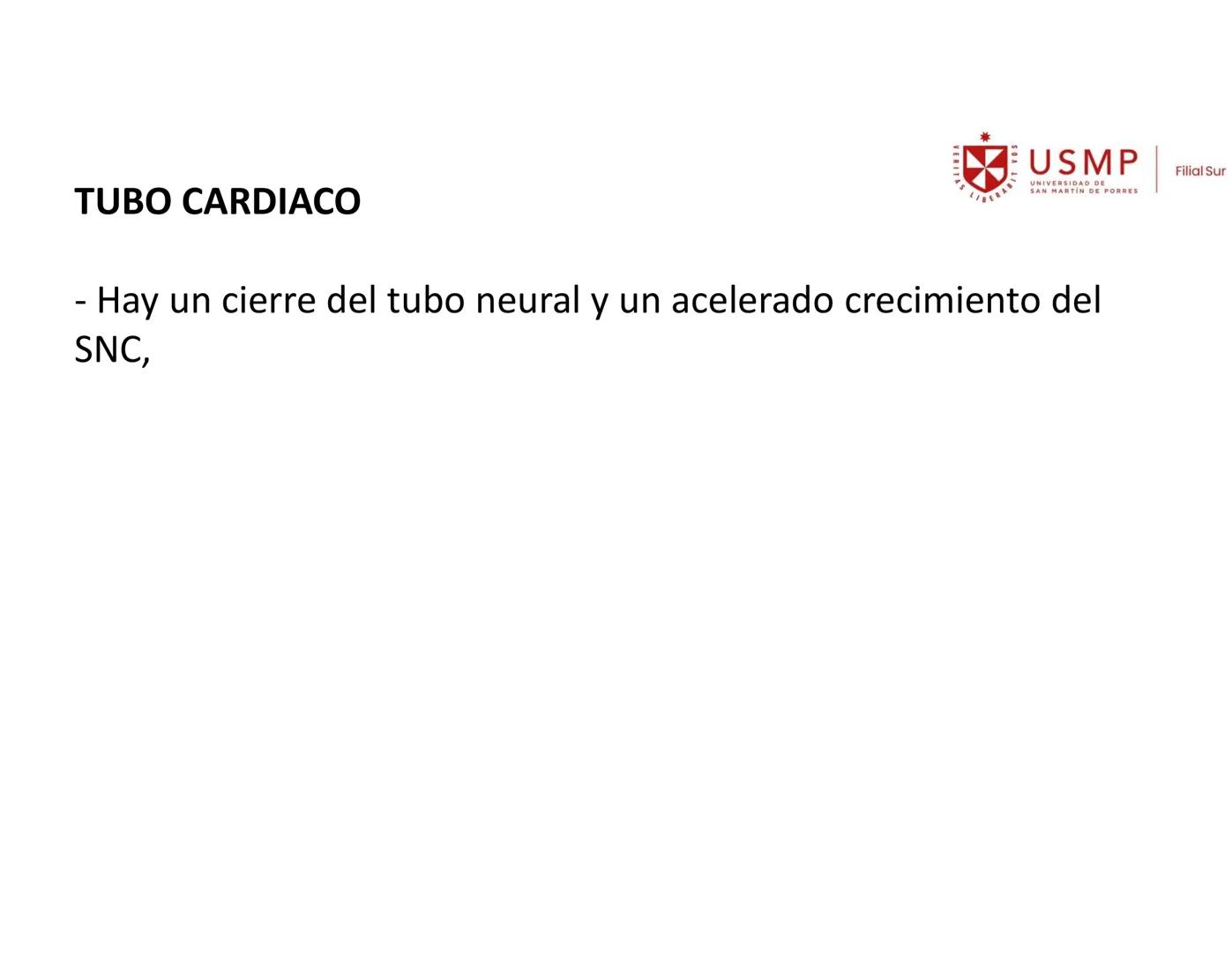 VERITAS
\/BERABITVOS
USMP
UNIVERSIDAD DE SAN MARTIN DE PORRES
FILIAL SUR
PERIODO 2025-1 # SISTEMAS CARDIACO Y RESPIRATORIO
Docente: Mg. Bio
