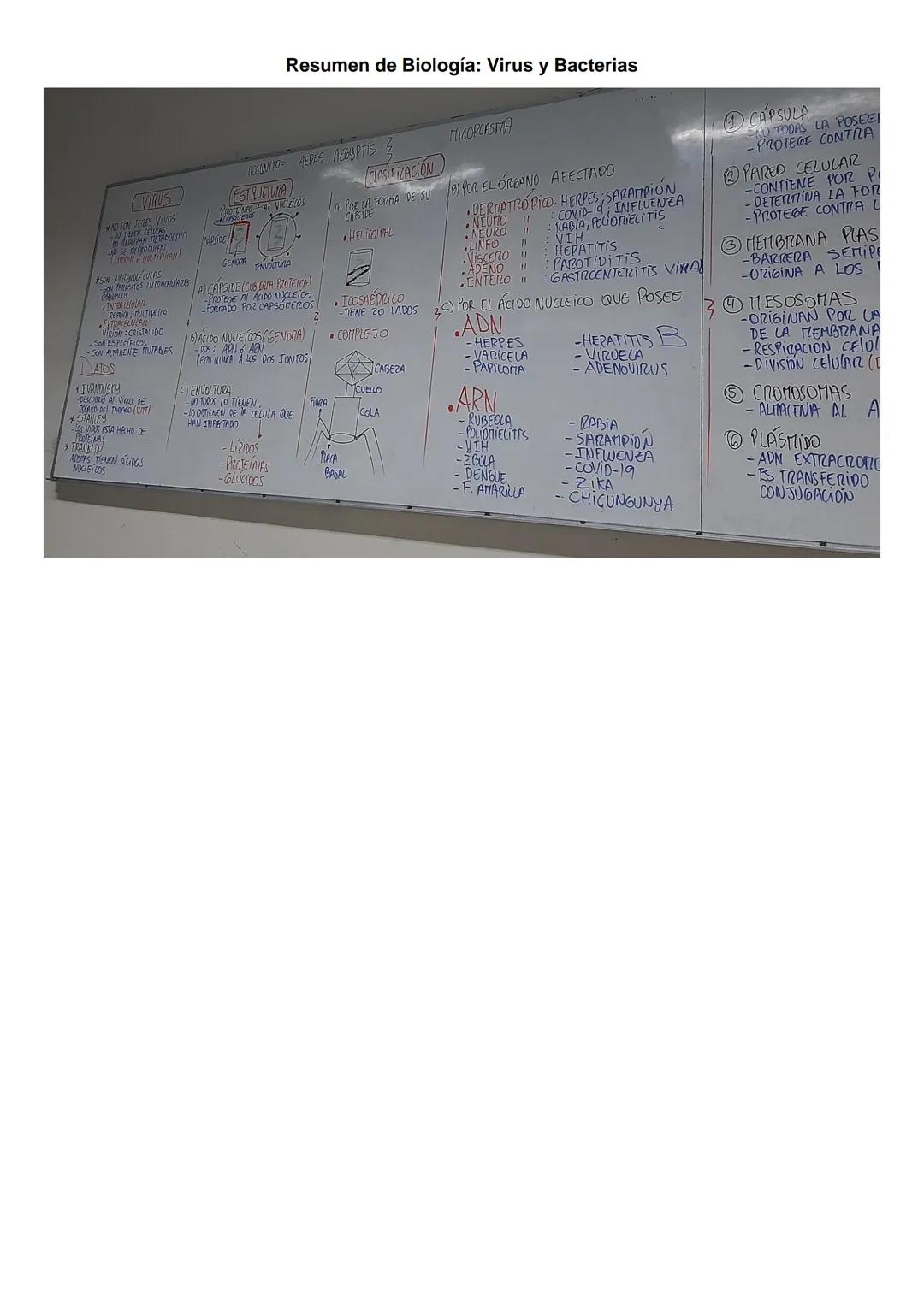 Resumen Teórico
VIRUS
Resumen de Biología: Virus y Bacterias
- No son seres vivos: no tienen células, no realizan metabolismo, no se reprodu