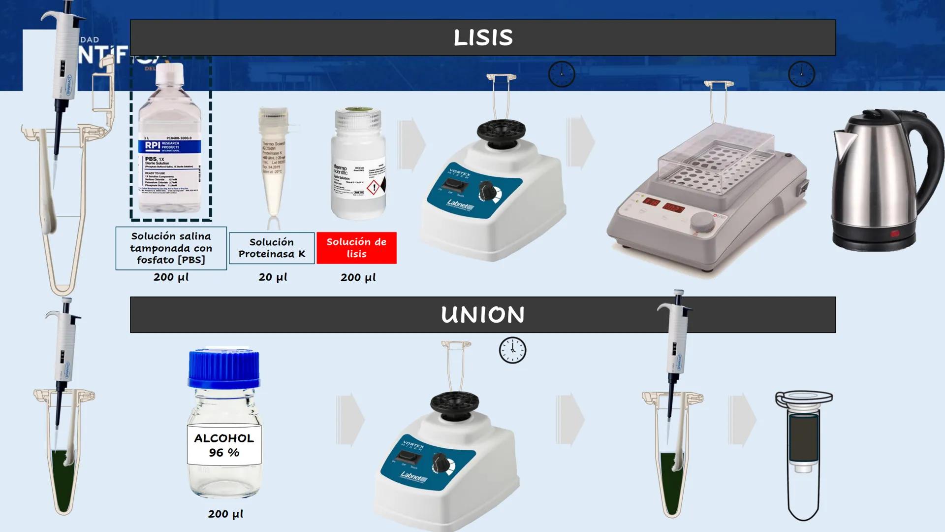 UNIVERSIDAD
CIENTÍFICA
DEL SUR
EXTRACCIÓN DE ADN
BIOLOGÍA CELULAR Y MOLECULAR
SEMANA 09
-
MEJORAS TÚ, MEJORA EL MUNDO.
Carrera de Medicina H