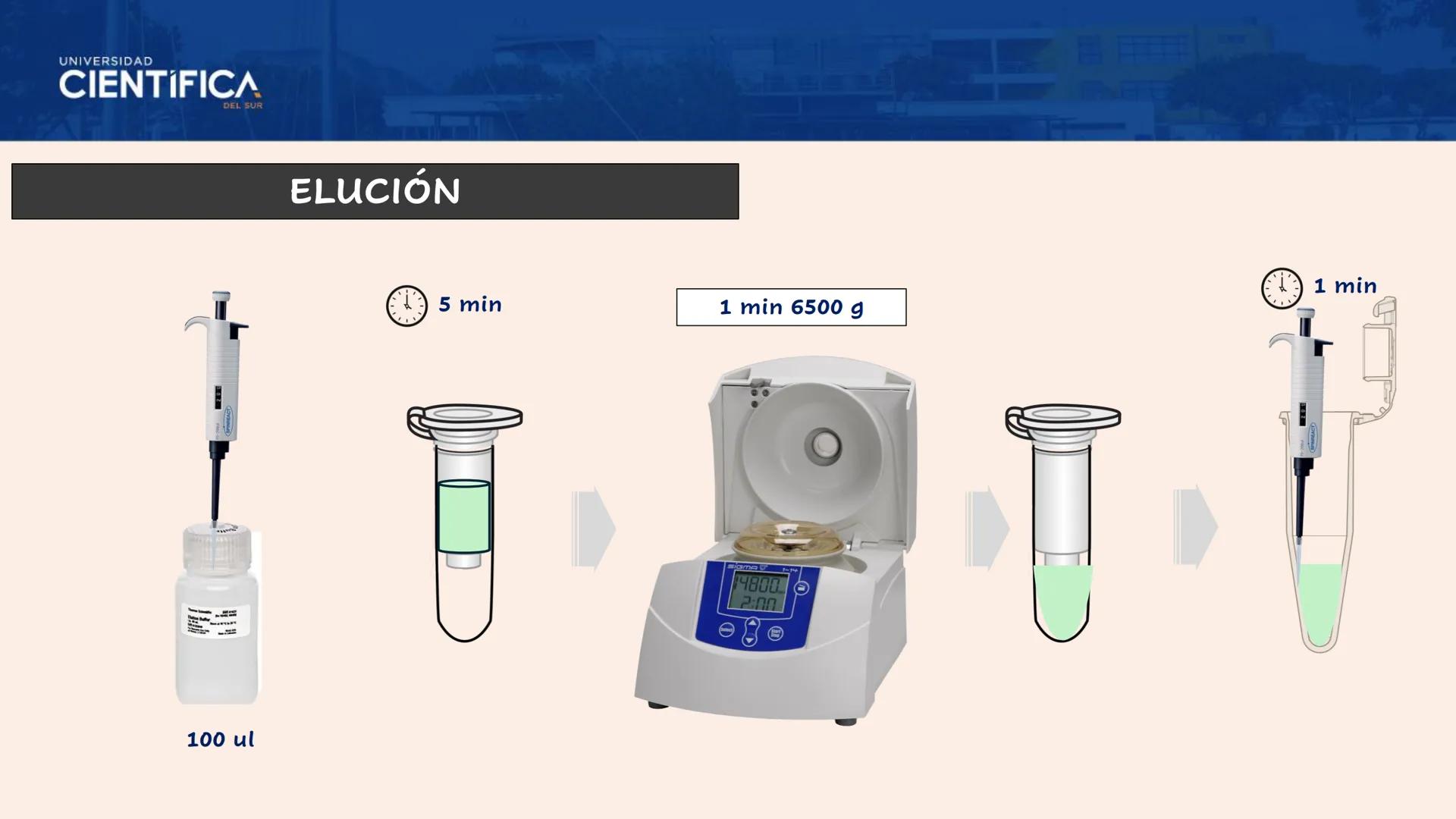 UNIVERSIDAD
CIENTÍFICA
DEL SUR
EXTRACCIÓN DE ADN
BIOLOGÍA CELULAR Y MOLECULAR
SEMANA 09
-
MEJORAS TÚ, MEJORA EL MUNDO.
Carrera de Medicina H