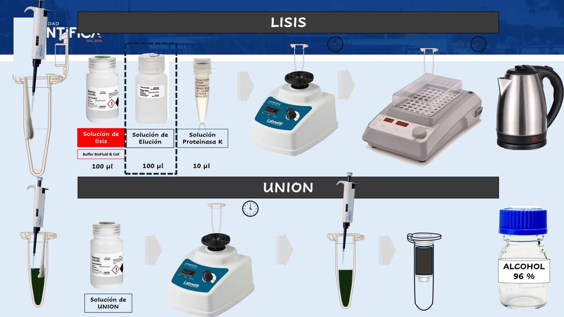 UNIVERSIDAD
CIENTÍFICA
DEL SUR
EXTRACCIÓN DE ADN
BIOLOGÍA CELULAR Y MOLECULAR
SEMANA 09
-
MEJORAS TÚ, MEJORA EL MUNDO.
Carrera de Medicina H