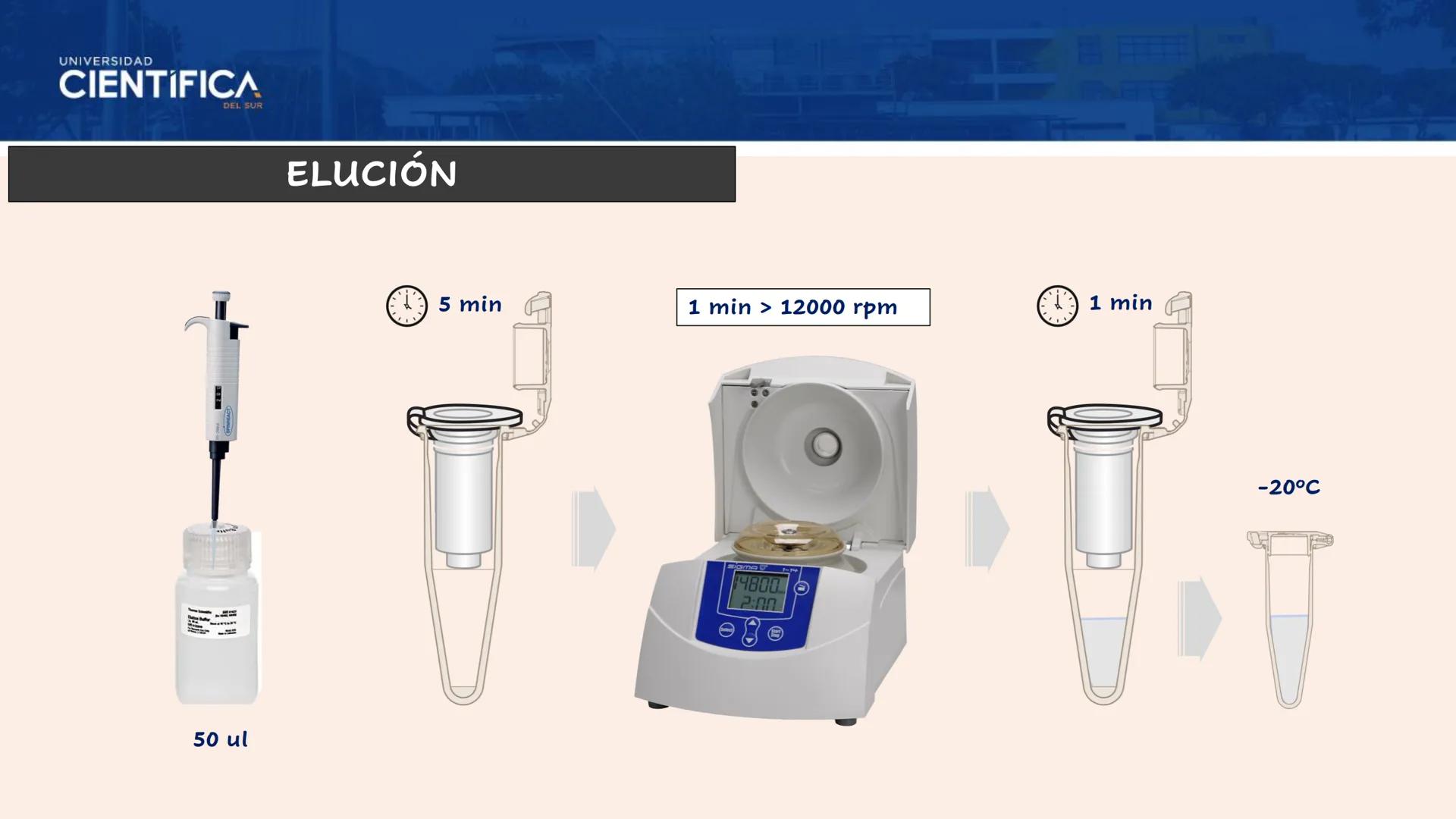 UNIVERSIDAD
CIENTÍFICA
DEL SUR
EXTRACCIÓN DE ADN
BIOLOGÍA CELULAR Y MOLECULAR
SEMANA 09
-
MEJORAS TÚ, MEJORA EL MUNDO.
Carrera de Medicina H