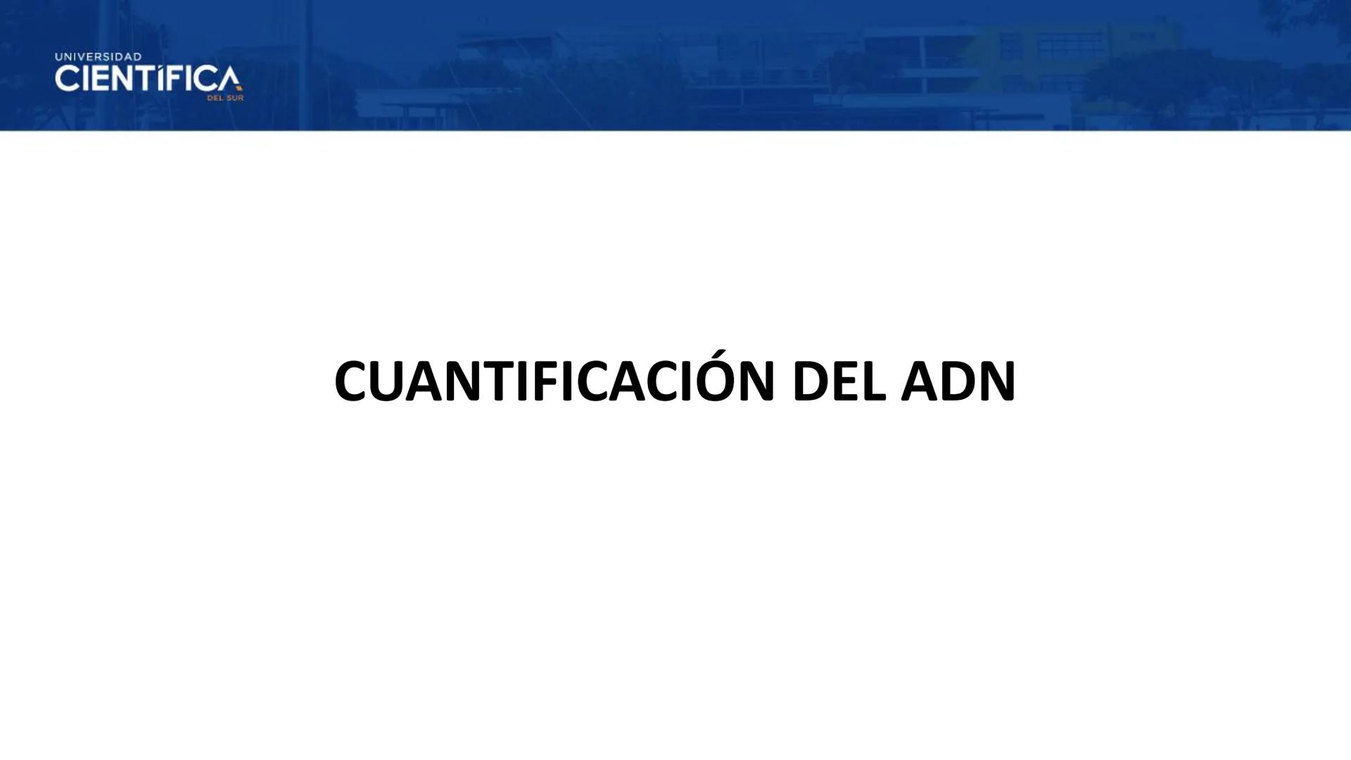 UNIVERSIDAD
CIENTÍFICA
DEL SUR
EXTRACCIÓN DE ADN
BIOLOGÍA CELULAR Y MOLECULAR
SEMANA 09
-
MEJORAS TÚ, MEJORA EL MUNDO.
Carrera de Medicina H