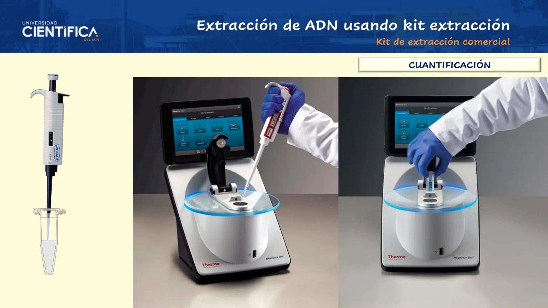 UNIVERSIDAD
CIENTÍFICA
DEL SUR
EXTRACCIÓN DE ADN
BIOLOGÍA CELULAR Y MOLECULAR
SEMANA 09
-
MEJORAS TÚ, MEJORA EL MUNDO.
Carrera de Medicina H