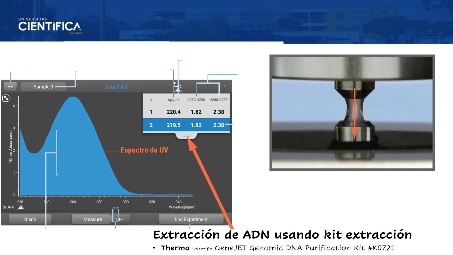 UNIVERSIDAD
CIENTÍFICA
DEL SUR
EXTRACCIÓN DE ADN
BIOLOGÍA CELULAR Y MOLECULAR
SEMANA 09
-
MEJORAS TÚ, MEJORA EL MUNDO.
Carrera de Medicina H