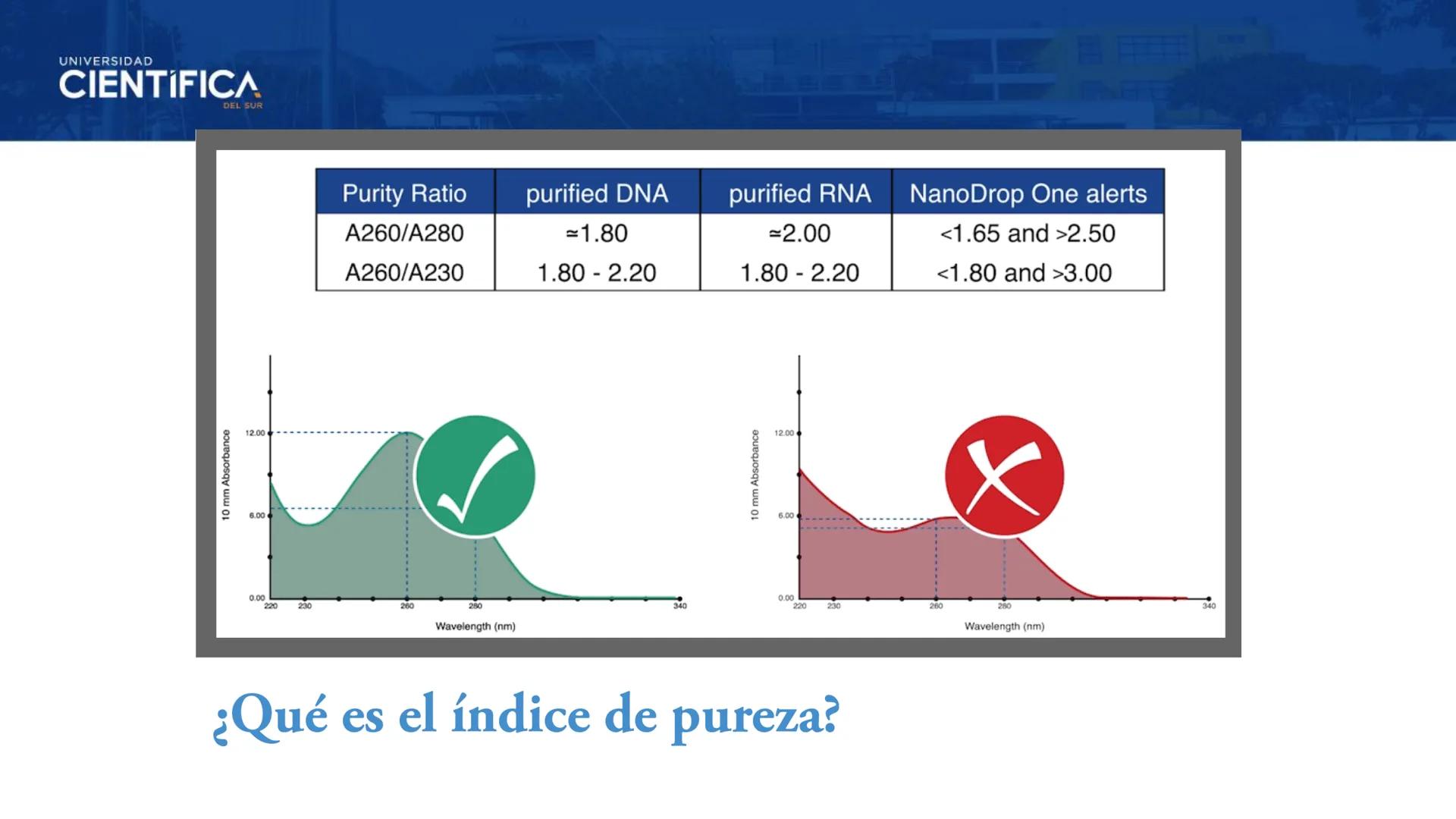 UNIVERSIDAD
CIENTÍFICA
DEL SUR
EXTRACCIÓN DE ADN
BIOLOGÍA CELULAR Y MOLECULAR
SEMANA 09
-
MEJORAS TÚ, MEJORA EL MUNDO.
Carrera de Medicina H