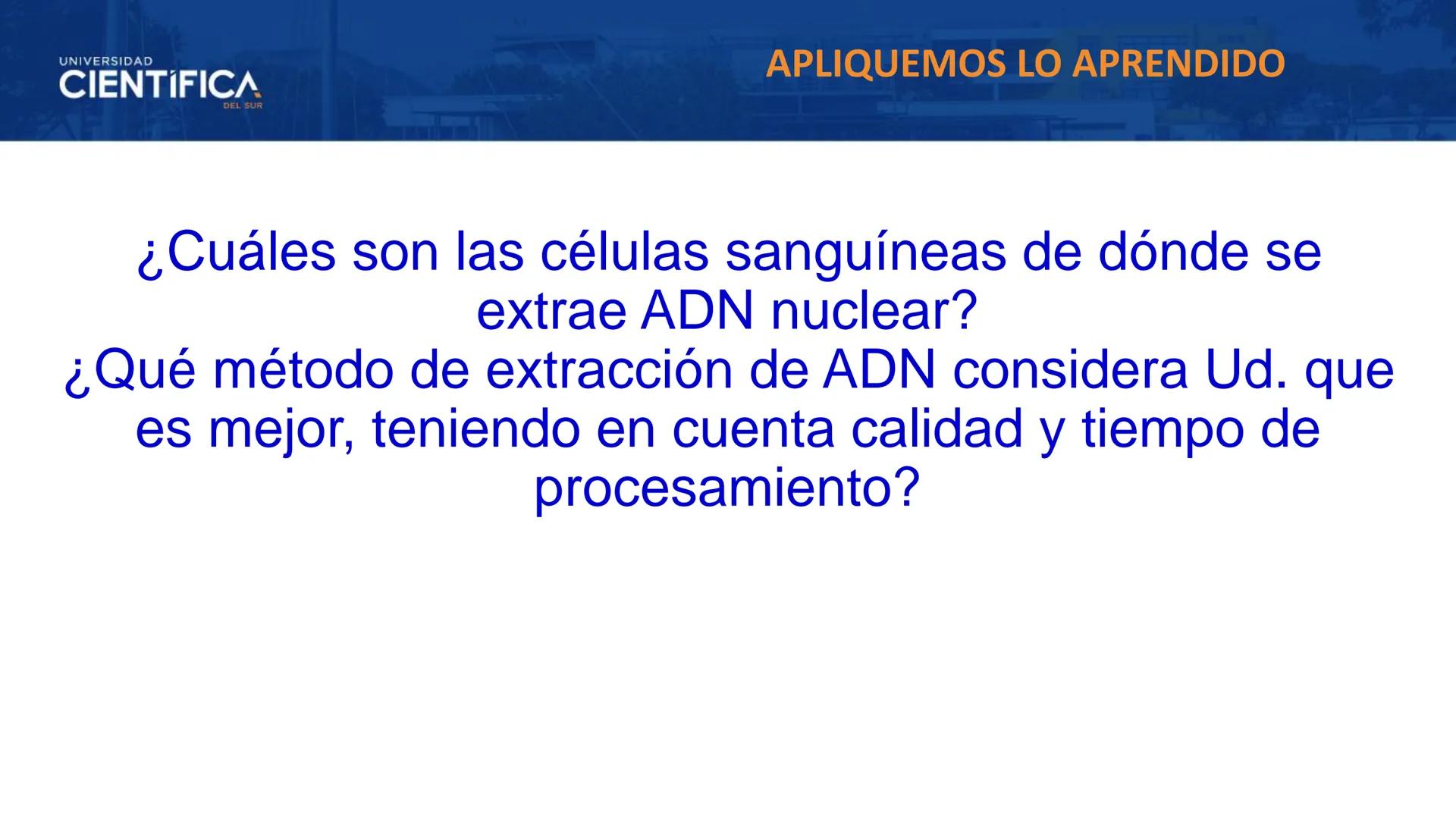 UNIVERSIDAD
CIENTÍFICA
DEL SUR
EXTRACCIÓN DE ADN
BIOLOGÍA CELULAR Y MOLECULAR
SEMANA 09
-
MEJORAS TÚ, MEJORA EL MUNDO.
Carrera de Medicina H