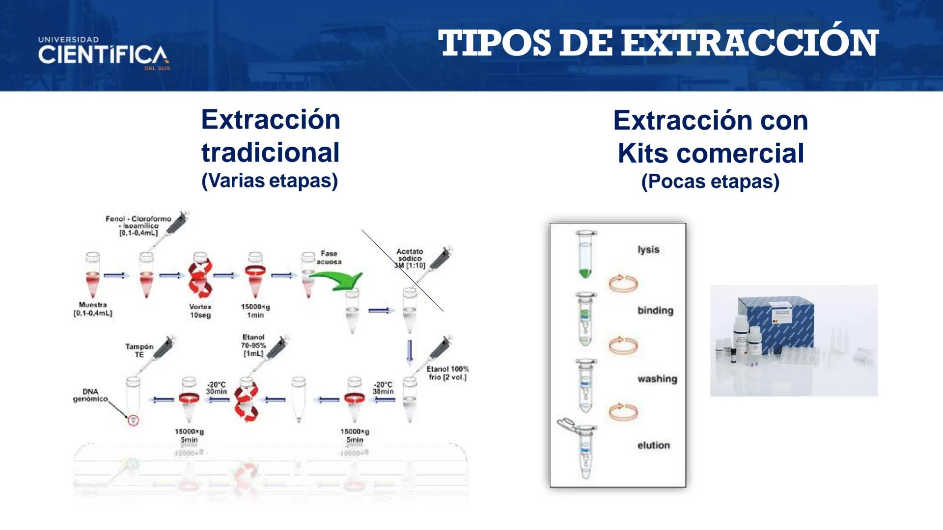 UNIVERSIDAD
CIENTÍFICA
DEL SUR
EXTRACCIÓN DE ADN
BIOLOGÍA CELULAR Y MOLECULAR
SEMANA 09
-
MEJORAS TÚ, MEJORA EL MUNDO.
Carrera de Medicina H