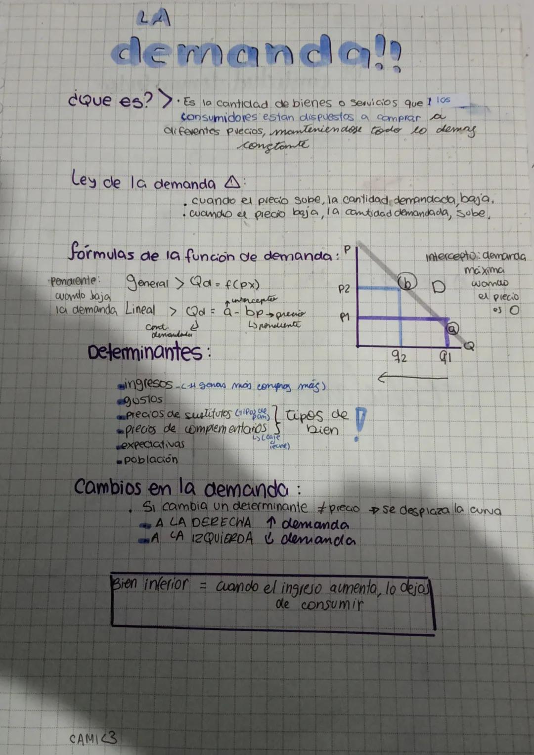 RESUMEN DE LA DEMANDA+EJEMPLOS+GRÁFICOS