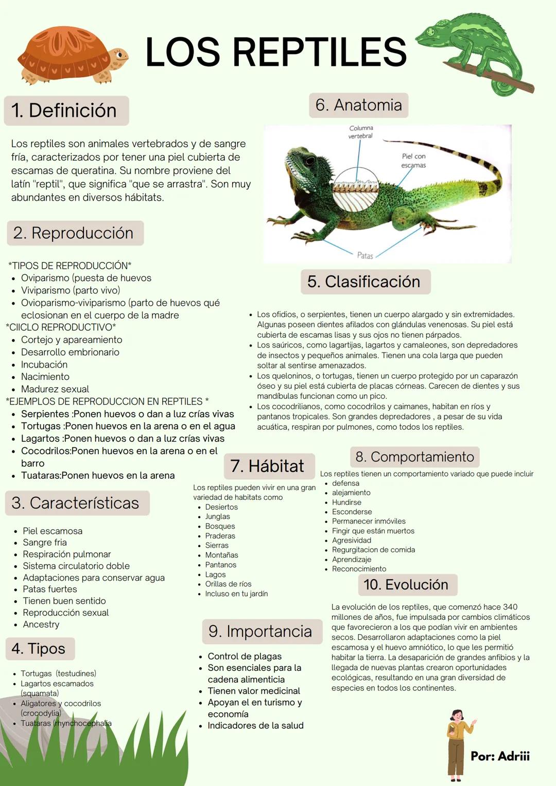 ## LOS REPTILES
### 1. Definición
Los reptiles son animales vertebrados y de sangre fría, caracterizados por tener una piel cubierta de es