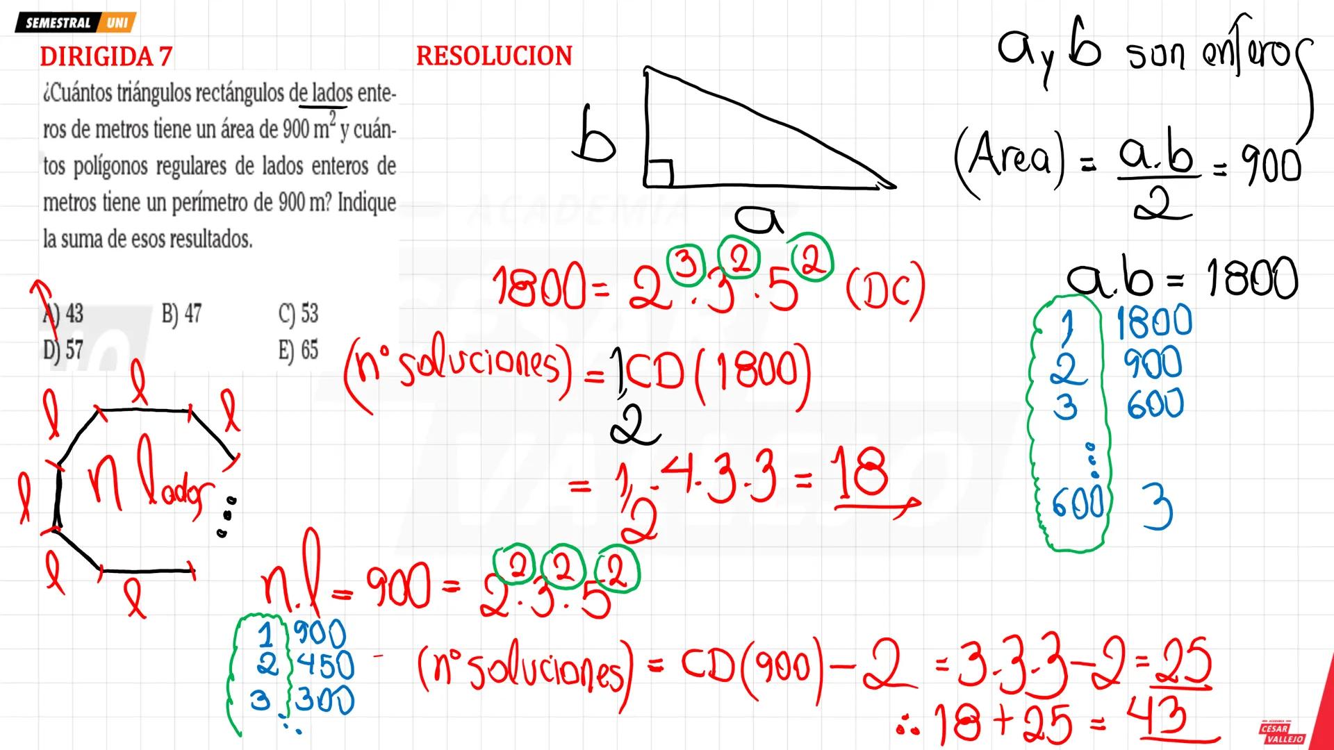 # 1. NÚMEROS SIMPLES
Son aquellos números enteros positivos que tienen a lo más dos divisores, y éstos se subdividen en:
## 1.1. La Unidad