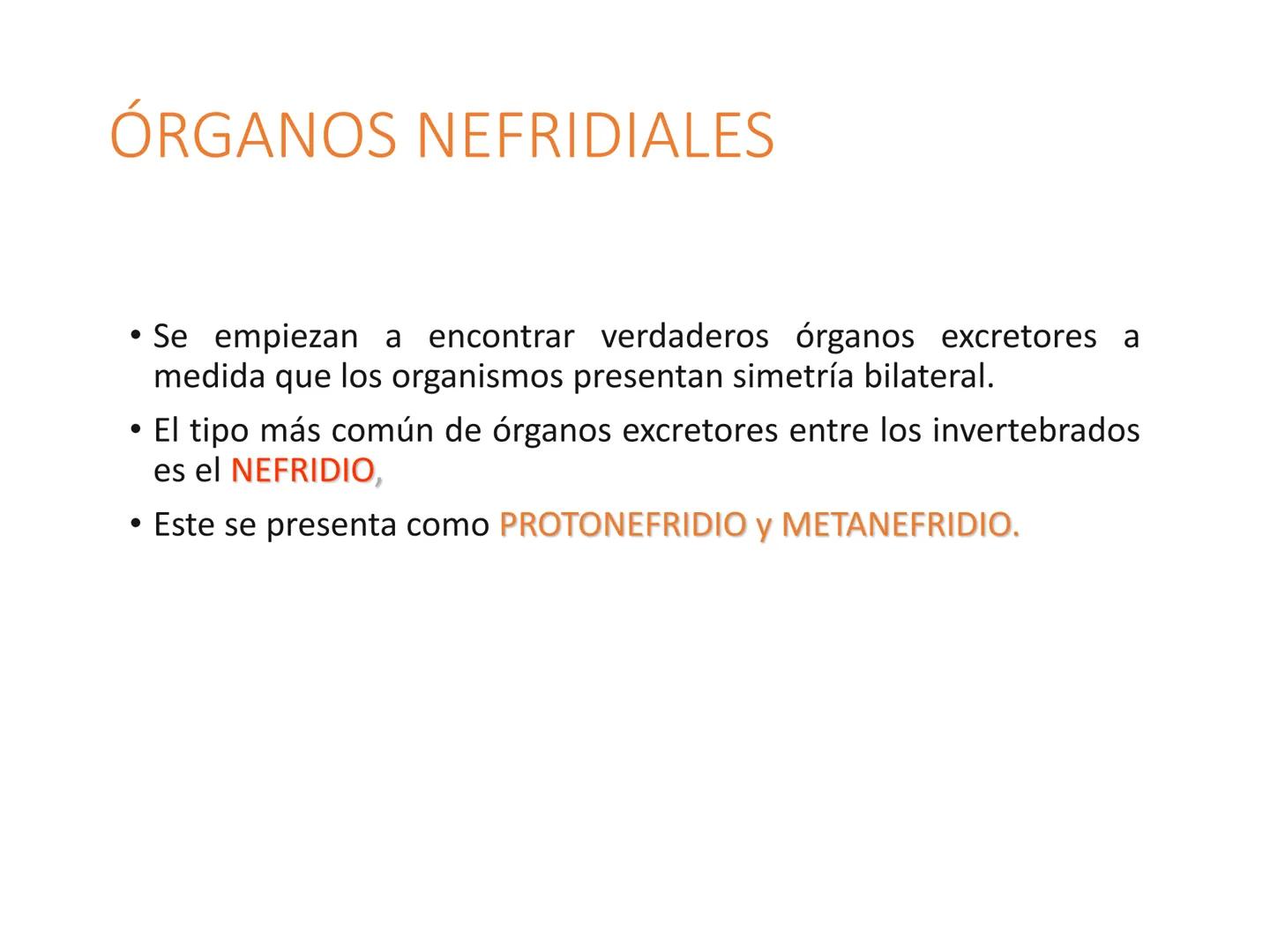 HOMEOSTASIS
Y OSMORREGULACION HOMEOSTASIS
• El universo tiende al desorden
• Los organismos vivos tienden al orden
• Necesitan de mucha ener