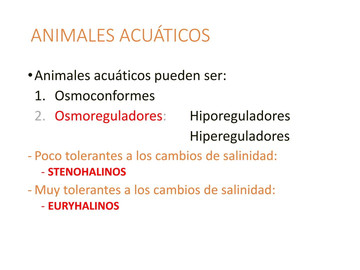 HOMEOSTASIS
Y OSMORREGULACION HOMEOSTASIS
• El universo tiende al desorden
• Los organismos vivos tienden al orden
• Necesitan de mucha ener
