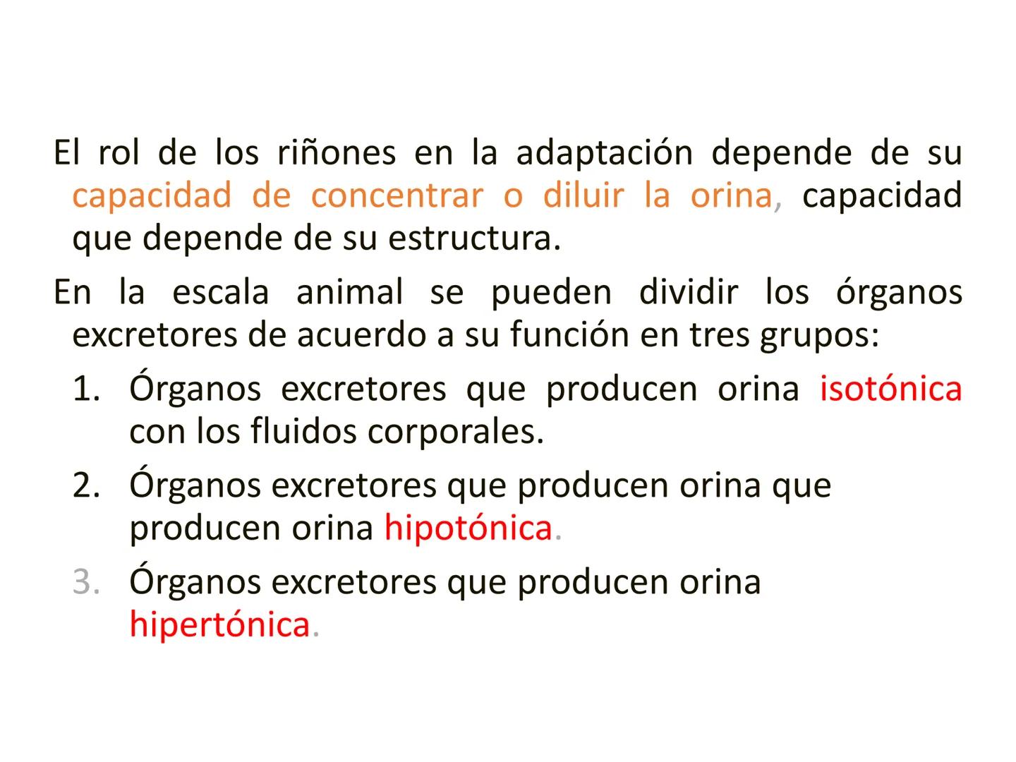 HOMEOSTASIS
Y OSMORREGULACION HOMEOSTASIS
• El universo tiende al desorden
• Los organismos vivos tienden al orden
• Necesitan de mucha ener