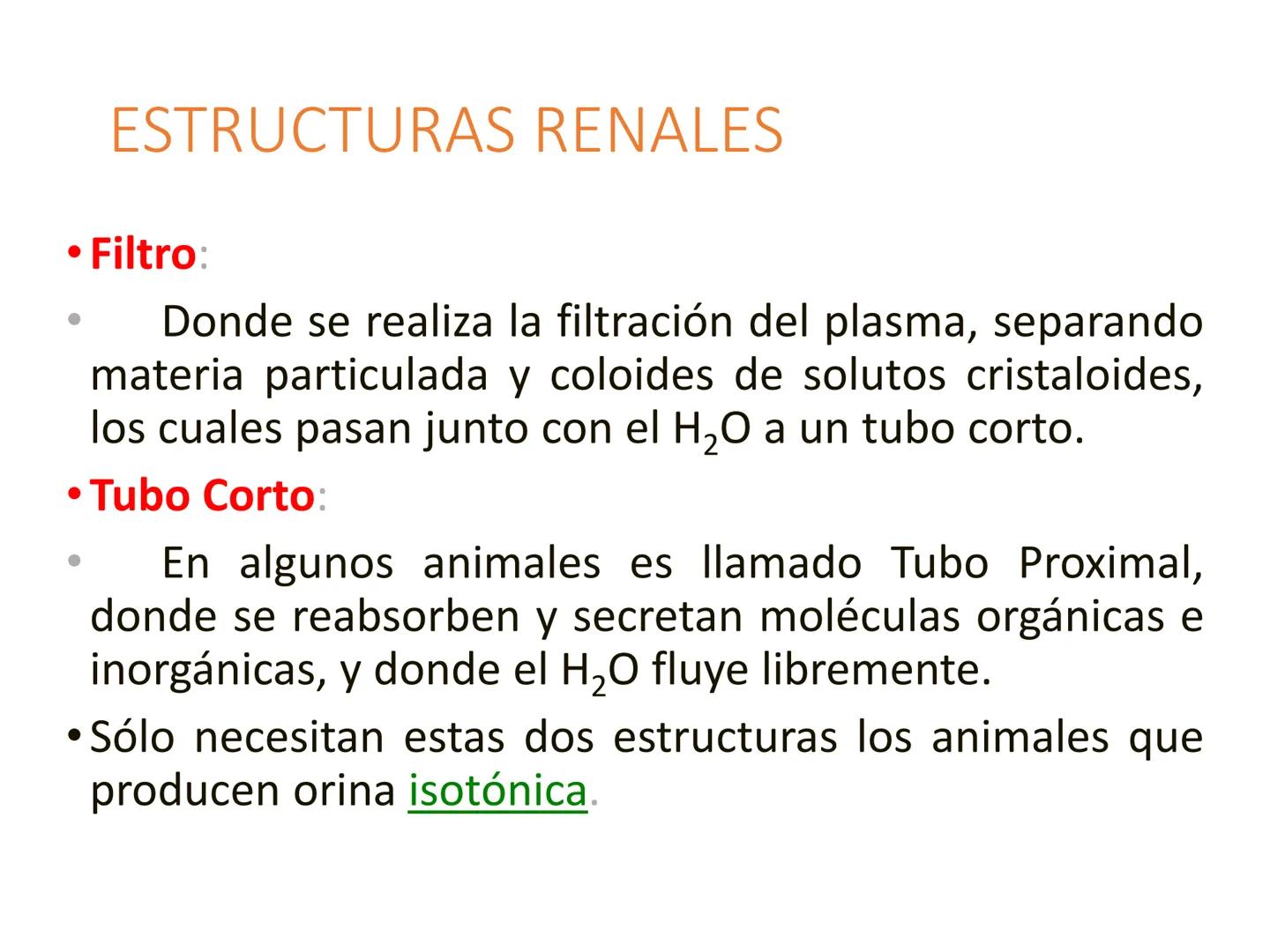 HOMEOSTASIS
Y OSMORREGULACION HOMEOSTASIS
• El universo tiende al desorden
• Los organismos vivos tienden al orden
• Necesitan de mucha ener