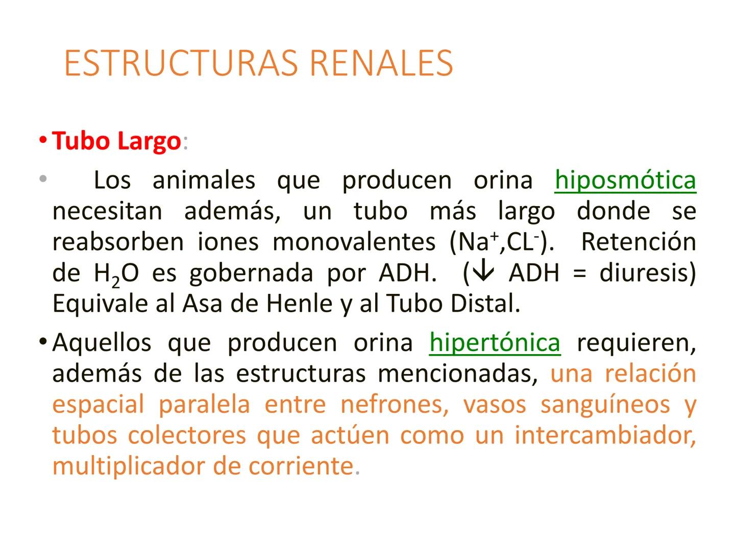 HOMEOSTASIS
Y OSMORREGULACION HOMEOSTASIS
• El universo tiende al desorden
• Los organismos vivos tienden al orden
• Necesitan de mucha ener