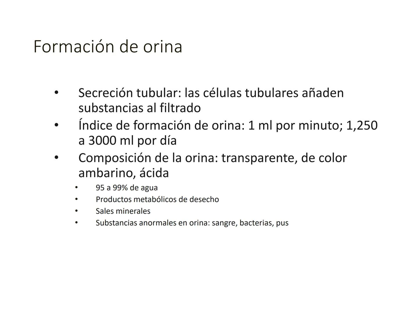 HOMEOSTASIS
Y OSMORREGULACION HOMEOSTASIS
• El universo tiende al desorden
• Los organismos vivos tienden al orden
• Necesitan de mucha ener