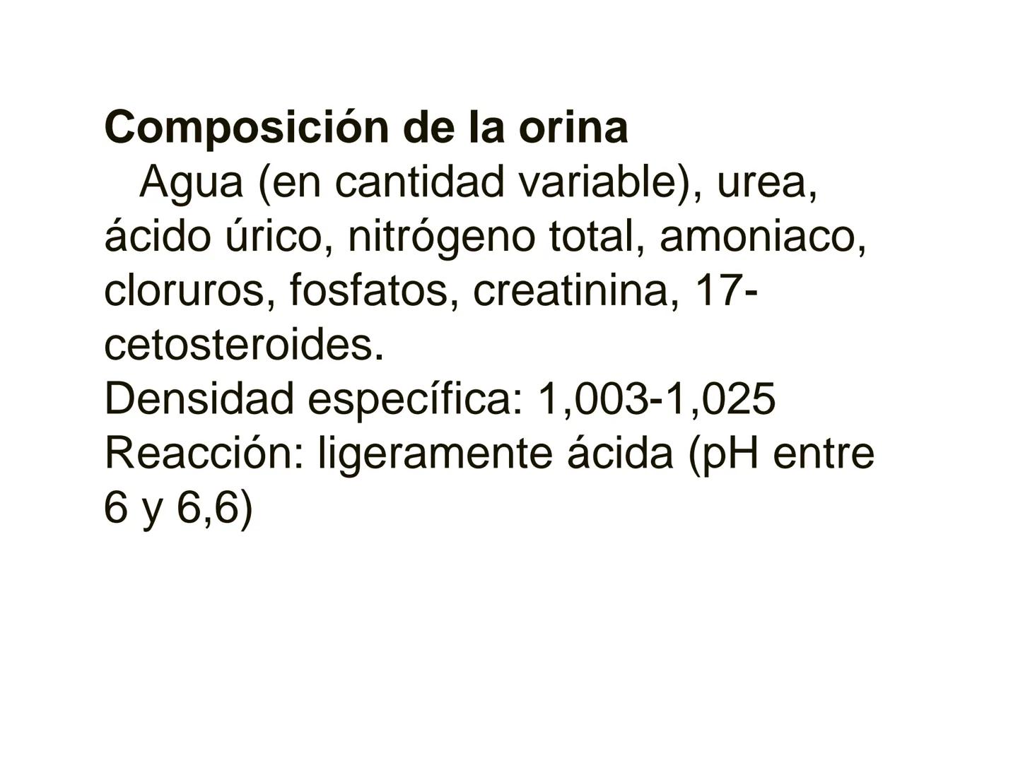 HOMEOSTASIS
Y OSMORREGULACION HOMEOSTASIS
• El universo tiende al desorden
• Los organismos vivos tienden al orden
• Necesitan de mucha ener