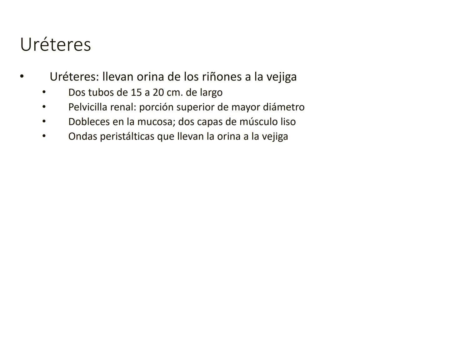 HOMEOSTASIS
Y OSMORREGULACION HOMEOSTASIS
• El universo tiende al desorden
• Los organismos vivos tienden al orden
• Necesitan de mucha ener