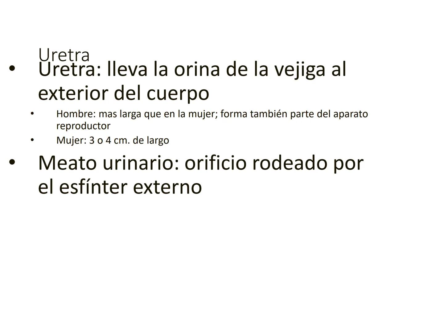 HOMEOSTASIS
Y OSMORREGULACION HOMEOSTASIS
• El universo tiende al desorden
• Los organismos vivos tienden al orden
• Necesitan de mucha ener