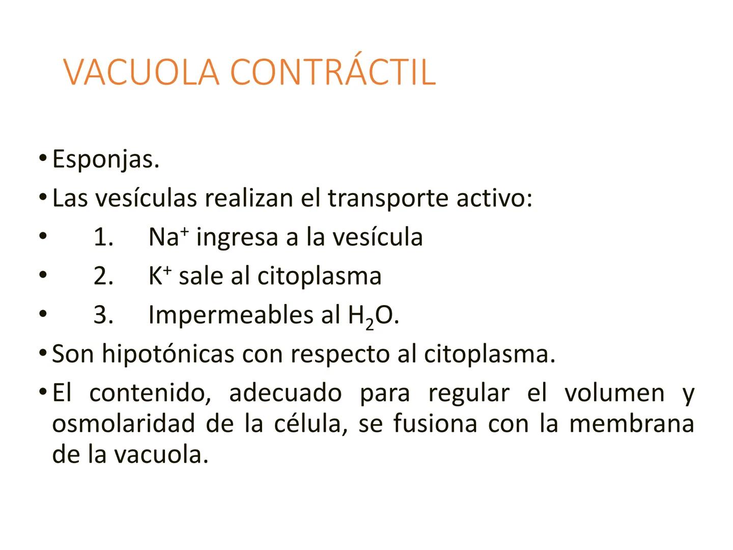 HOMEOSTASIS
Y OSMORREGULACION HOMEOSTASIS
• El universo tiende al desorden
• Los organismos vivos tienden al orden
• Necesitan de mucha ener