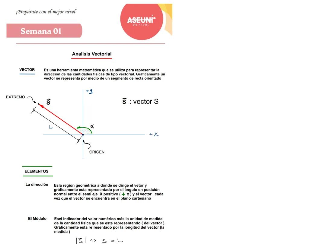 Teoría de vectores
