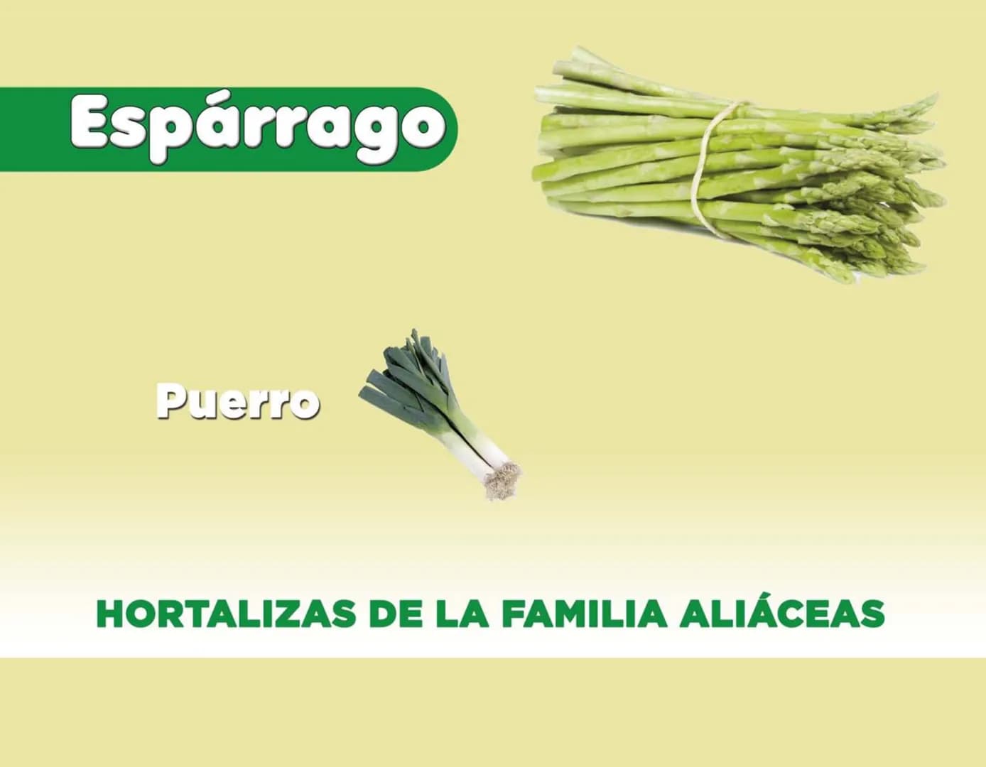 LA COOPÉRATION
BELGE AU DÉVELOPPEMENT
beLOUVAIN
COOPERATION
Subgobernación
Esperanza
Bolivia
San Lorenzo
MANUAL PARA EL CULTIVO DE
HORTALIZA