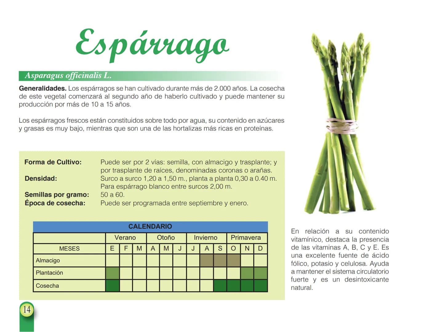 LA COOPÉRATION
BELGE AU DÉVELOPPEMENT
beLOUVAIN
COOPERATION
Subgobernación
Esperanza
Bolivia
San Lorenzo
MANUAL PARA EL CULTIVO DE
HORTALIZA