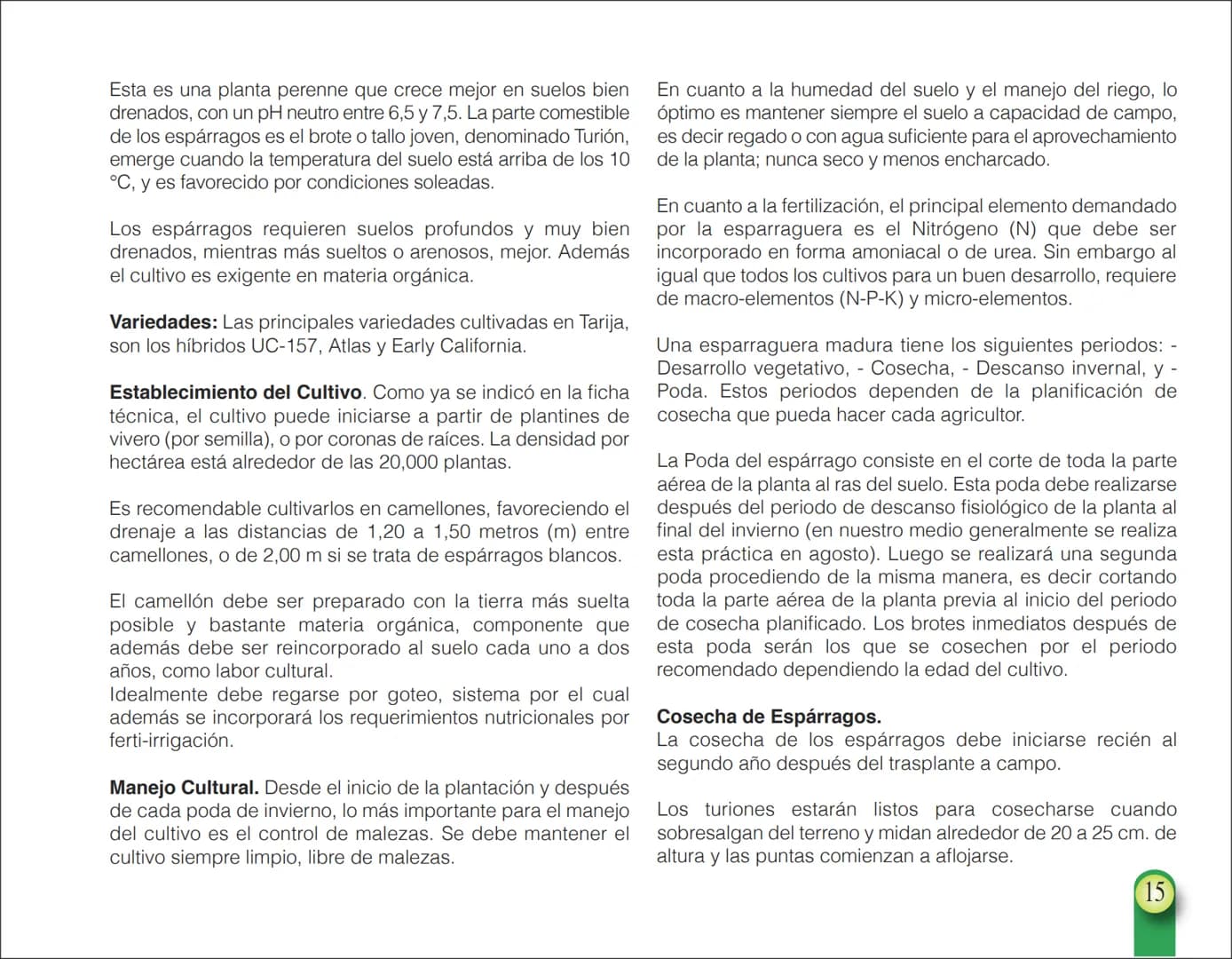 LA COOPÉRATION
BELGE AU DÉVELOPPEMENT
beLOUVAIN
COOPERATION
Subgobernación
Esperanza
Bolivia
San Lorenzo
MANUAL PARA EL CULTIVO DE
HORTALIZA
